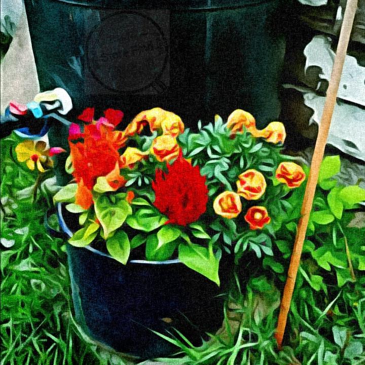 Flower Pot 2021 r/StoreFind