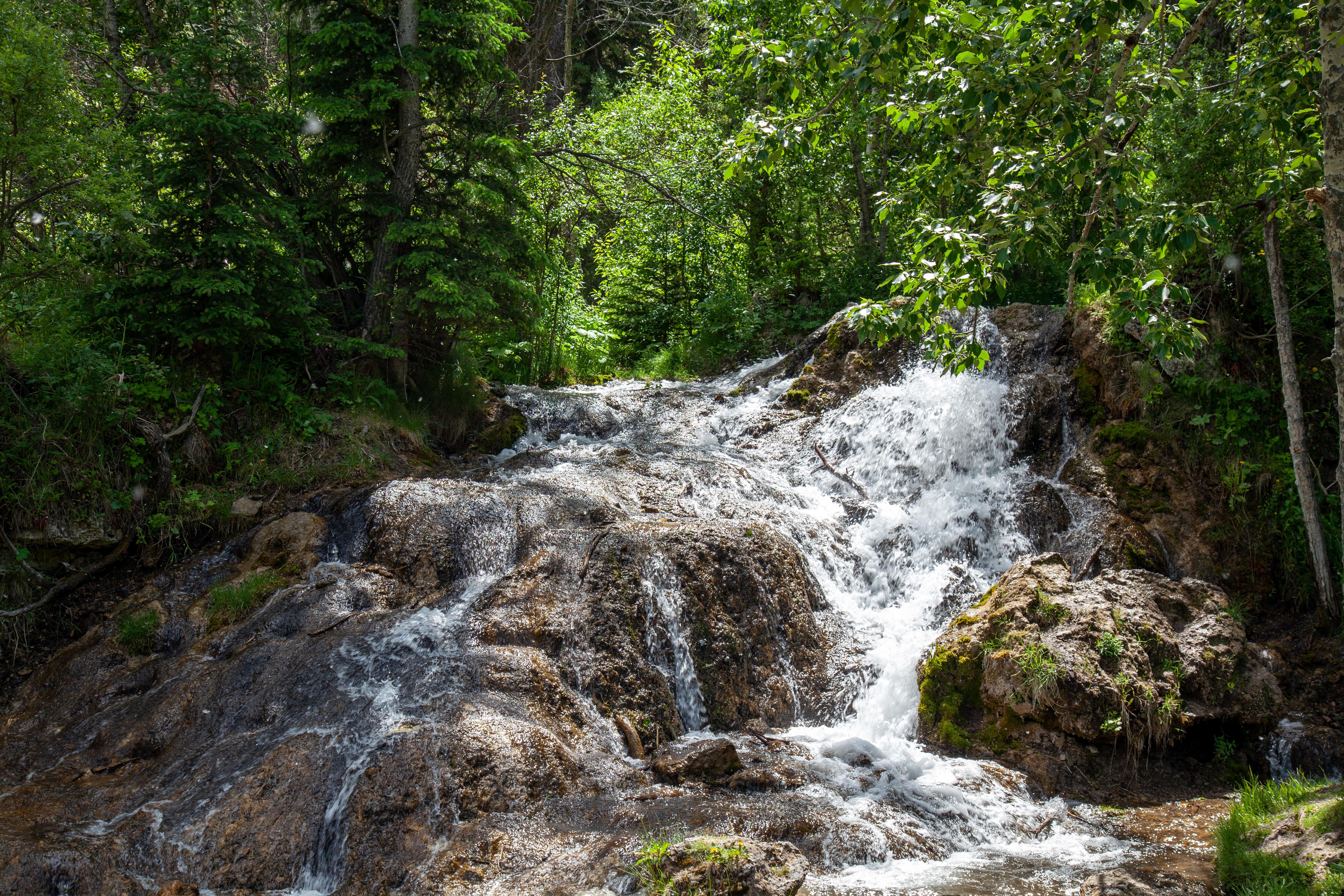 Hike Spot Big Hill Springs, Alberta r/Airdrie