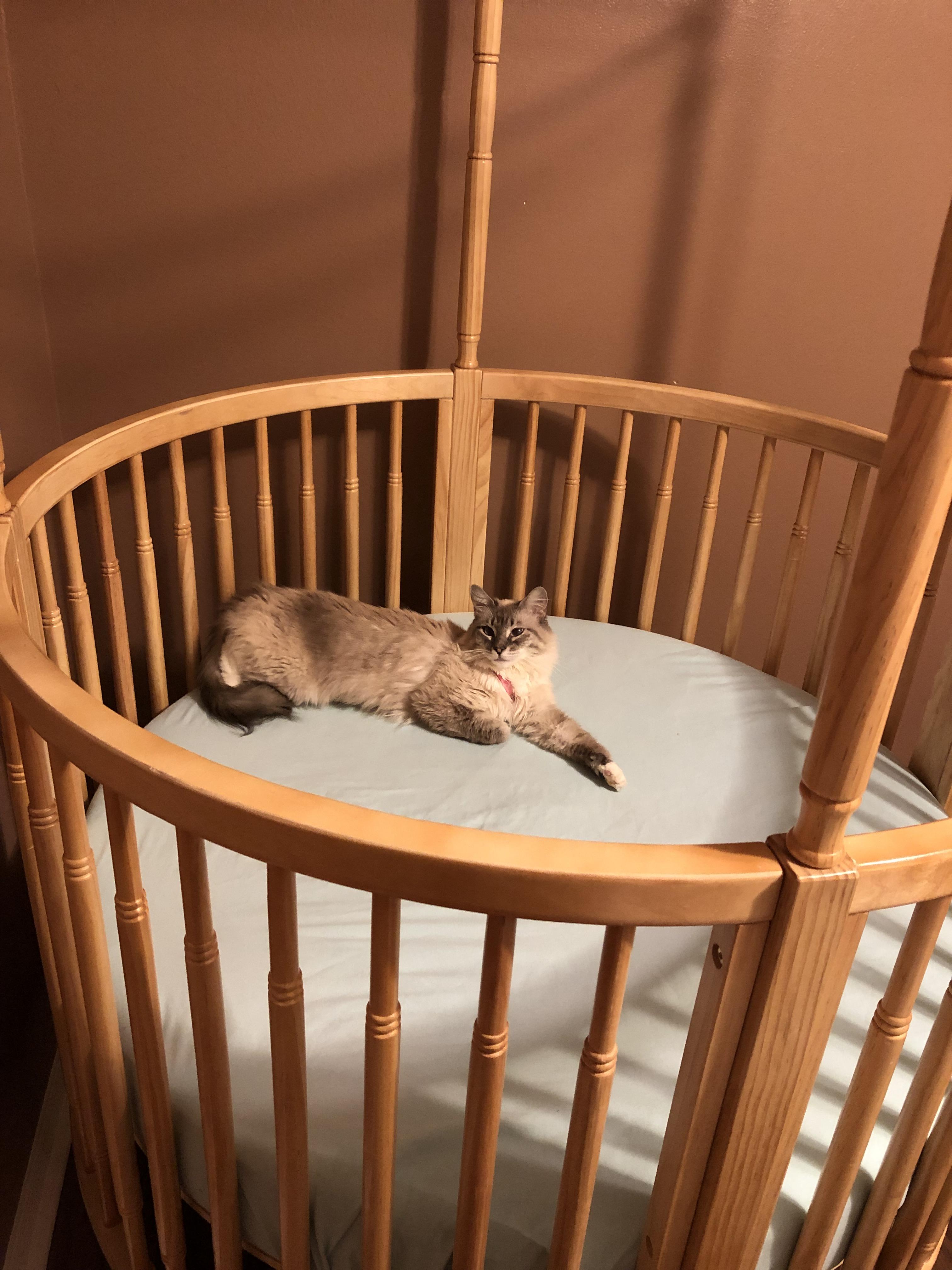 I thought I was putting together a crib for my soon to be born child. I