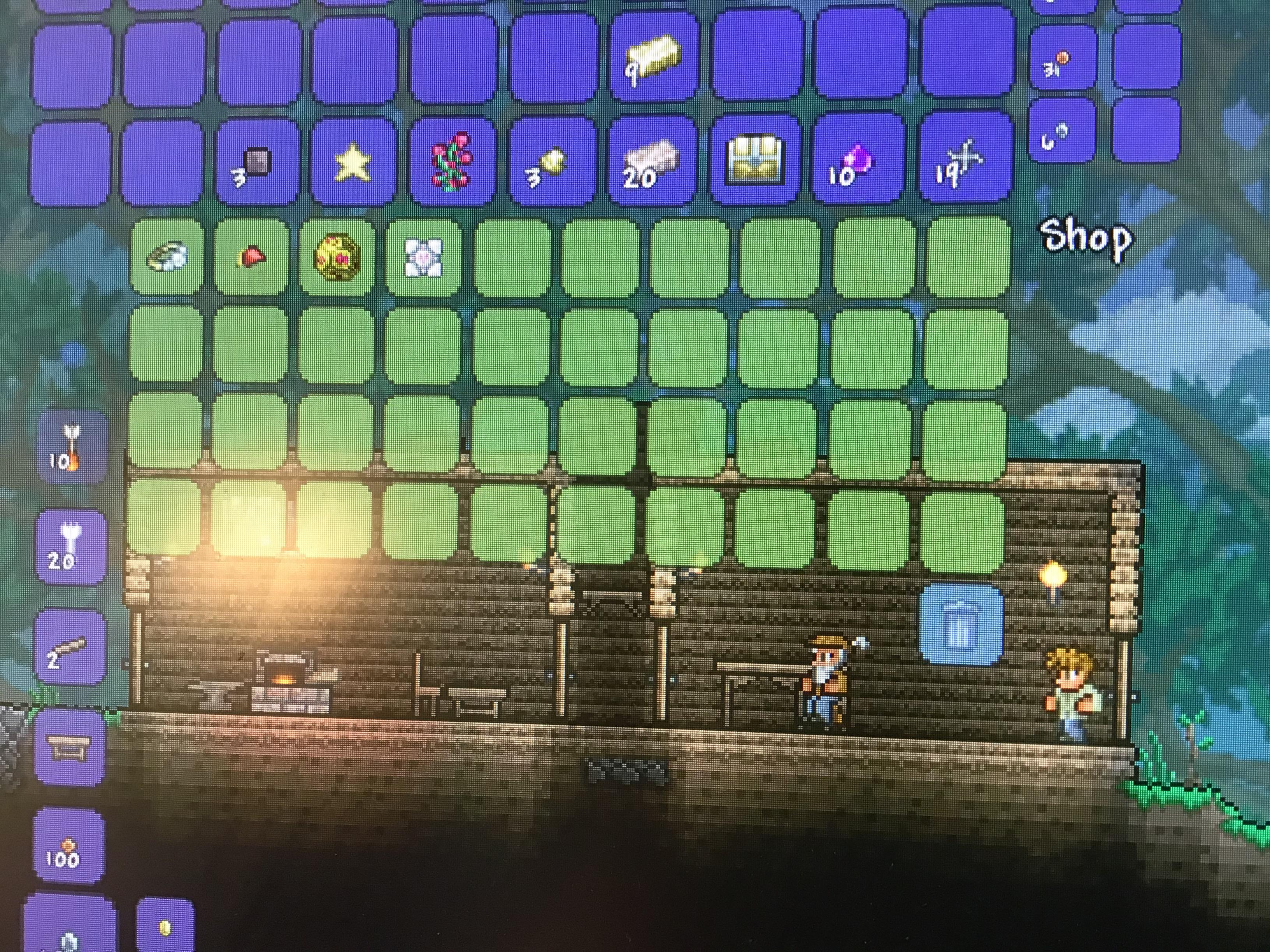 Literally the second day in this world Terraria
