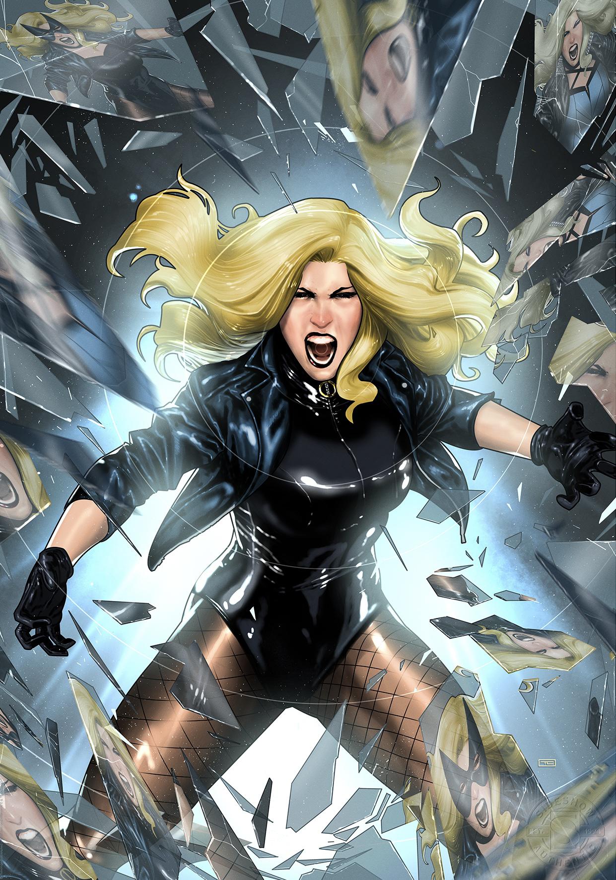 Black Canary Appreciation Thread 2023 Page 6