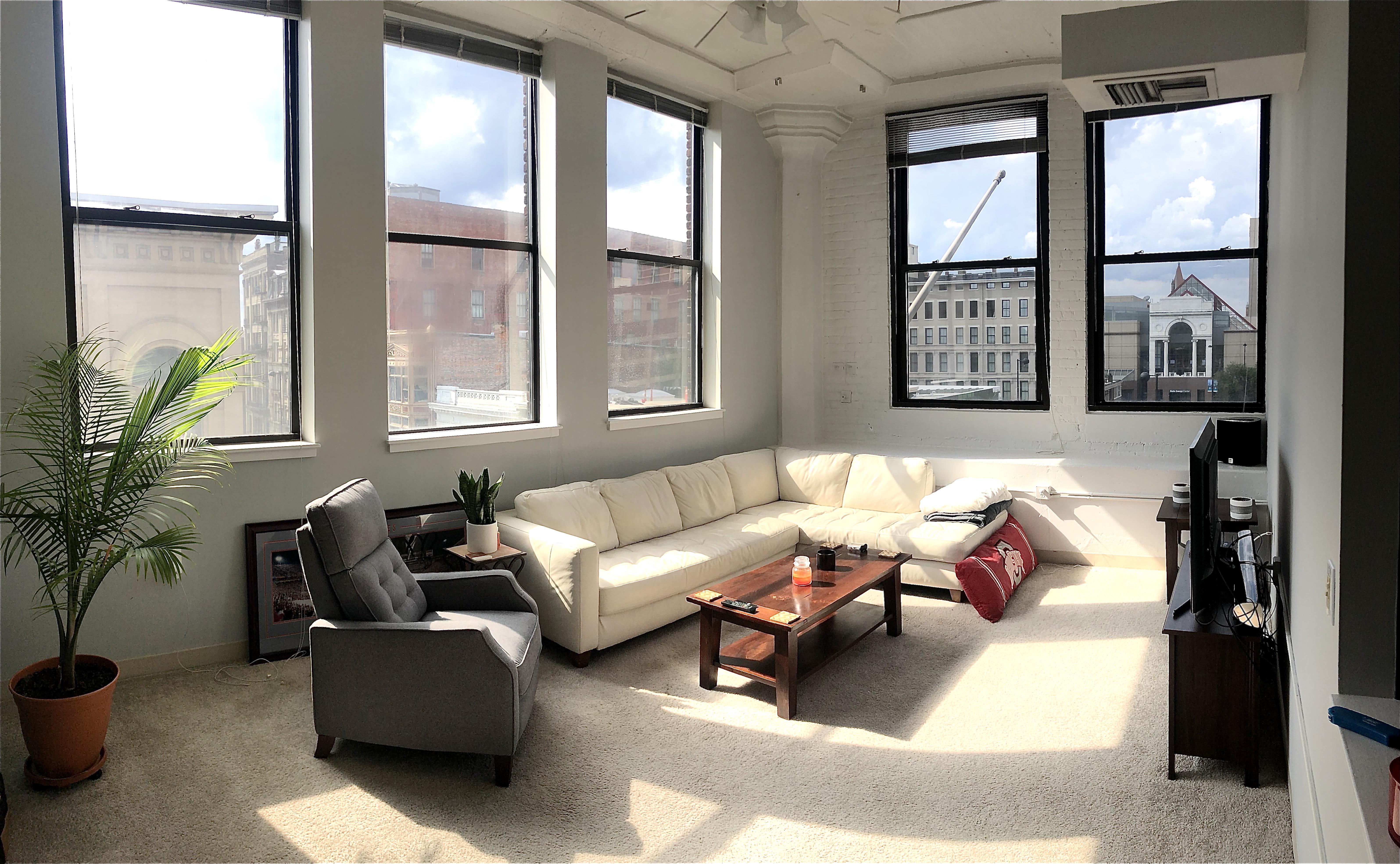 Downtown Living Room. Cincinnati, Ohio. r/AmateurRoomPorn