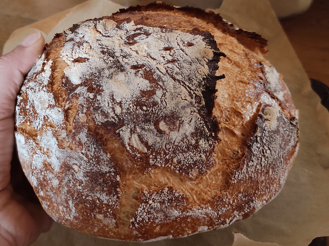 First ever loaf. My starter is 8 days old and smells weird, like feet