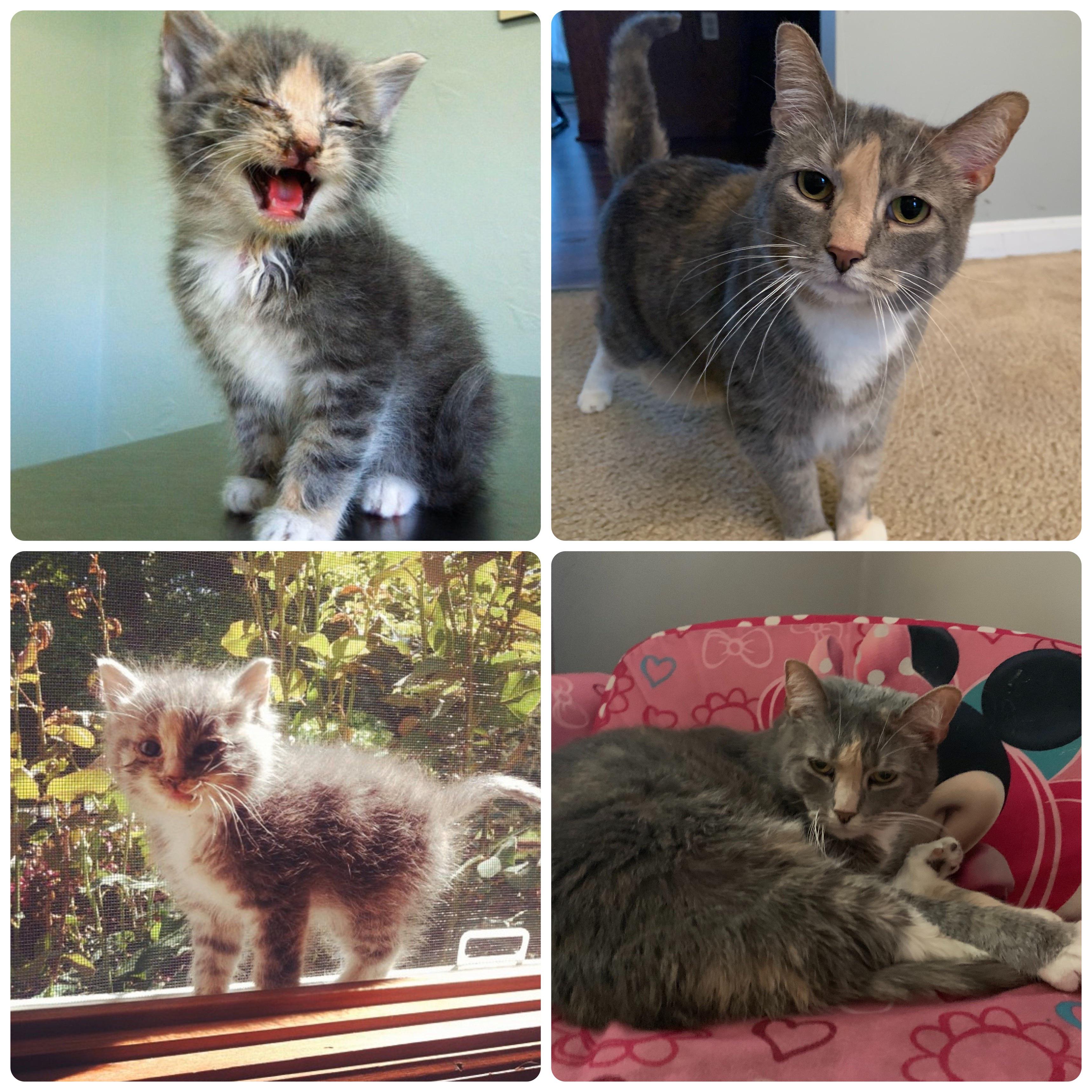 Albums 105+ Pictures Wake Up With Eyes Crusted Shut Latest