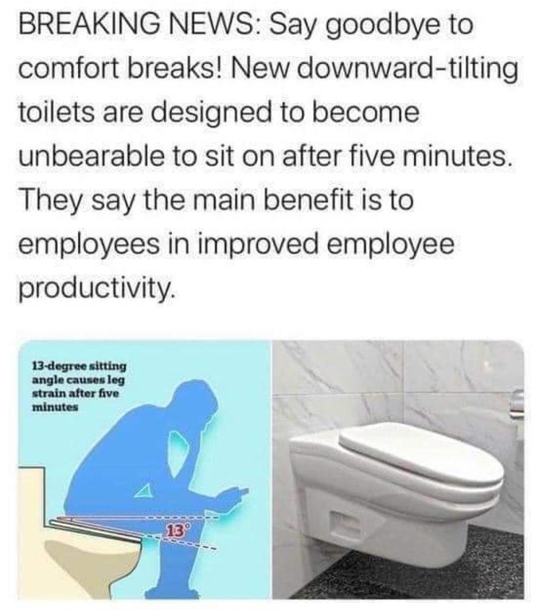 Thanks, I hate forward leaning toilet. r/TIHI