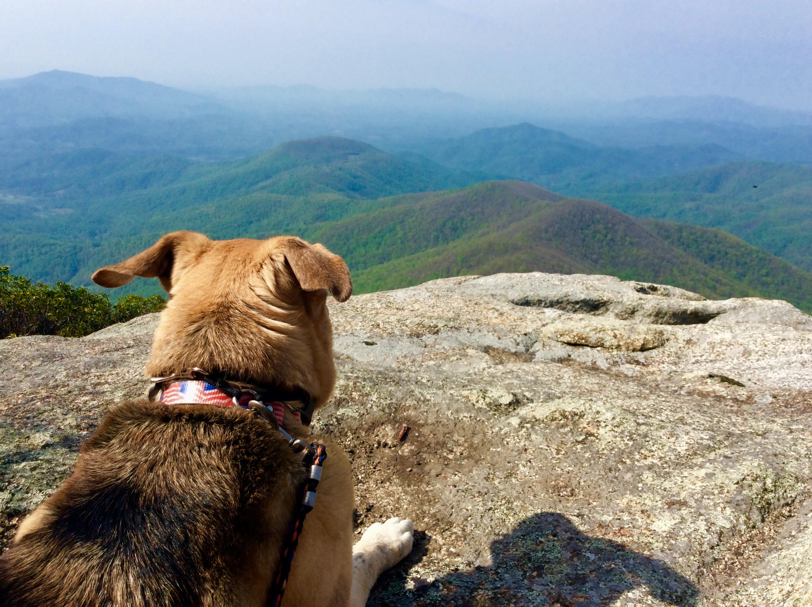 Contemplating at the summit of Mount Pleasant, Washington
