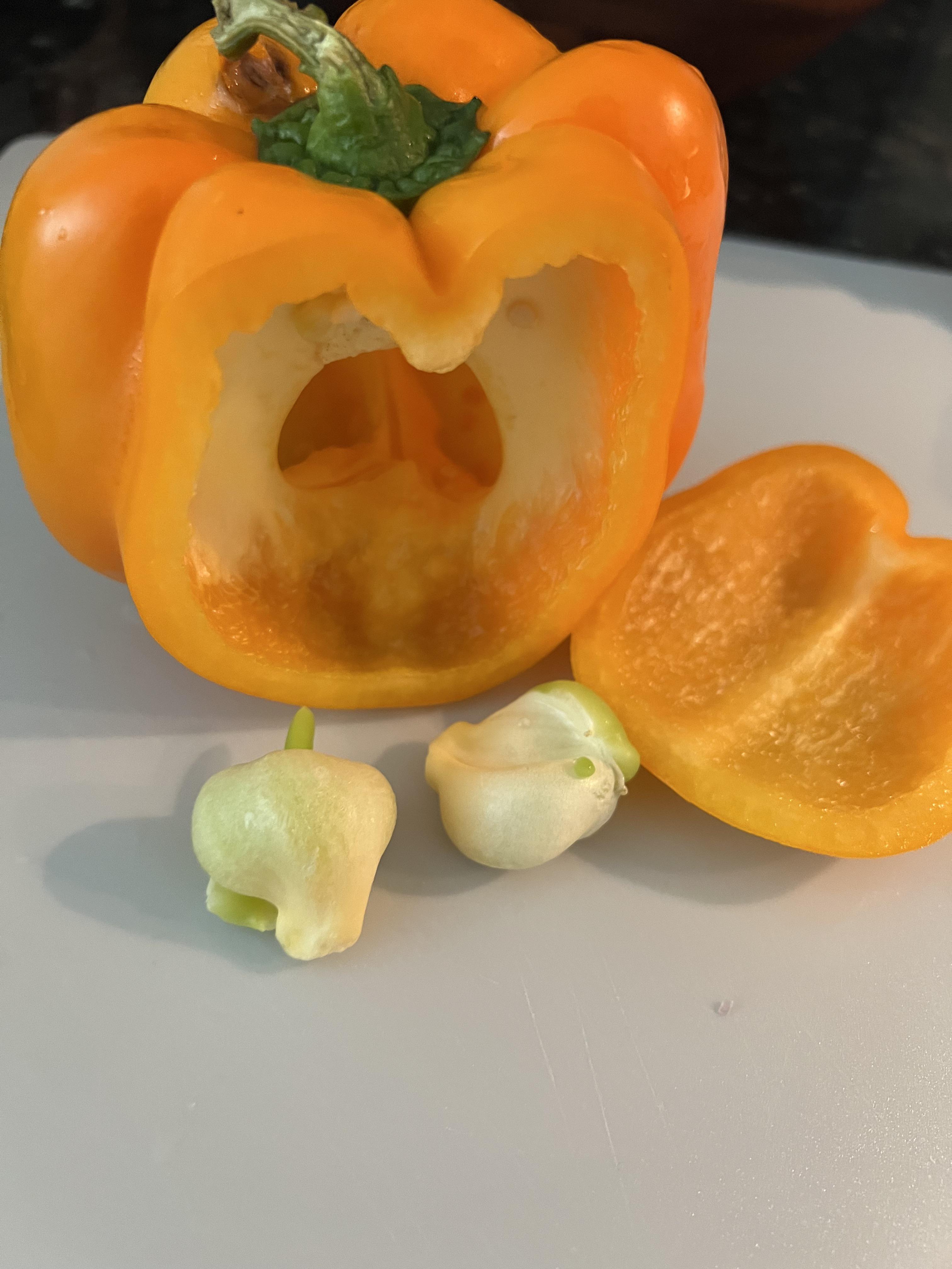 My pepper was pregnant with 2 baby peppers r/gardening