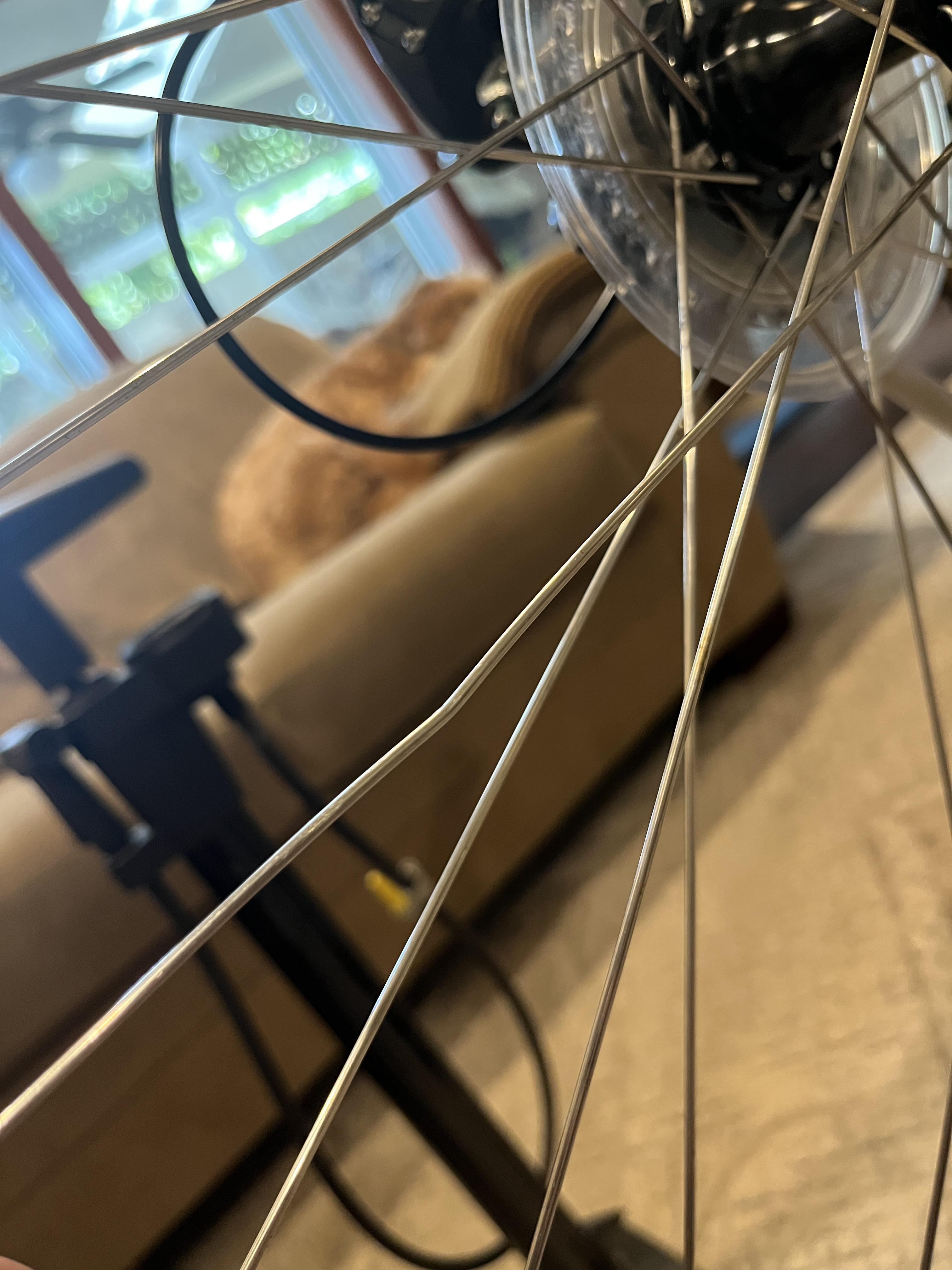 Should I worry about this bent spoke on my road bike? I commute 10