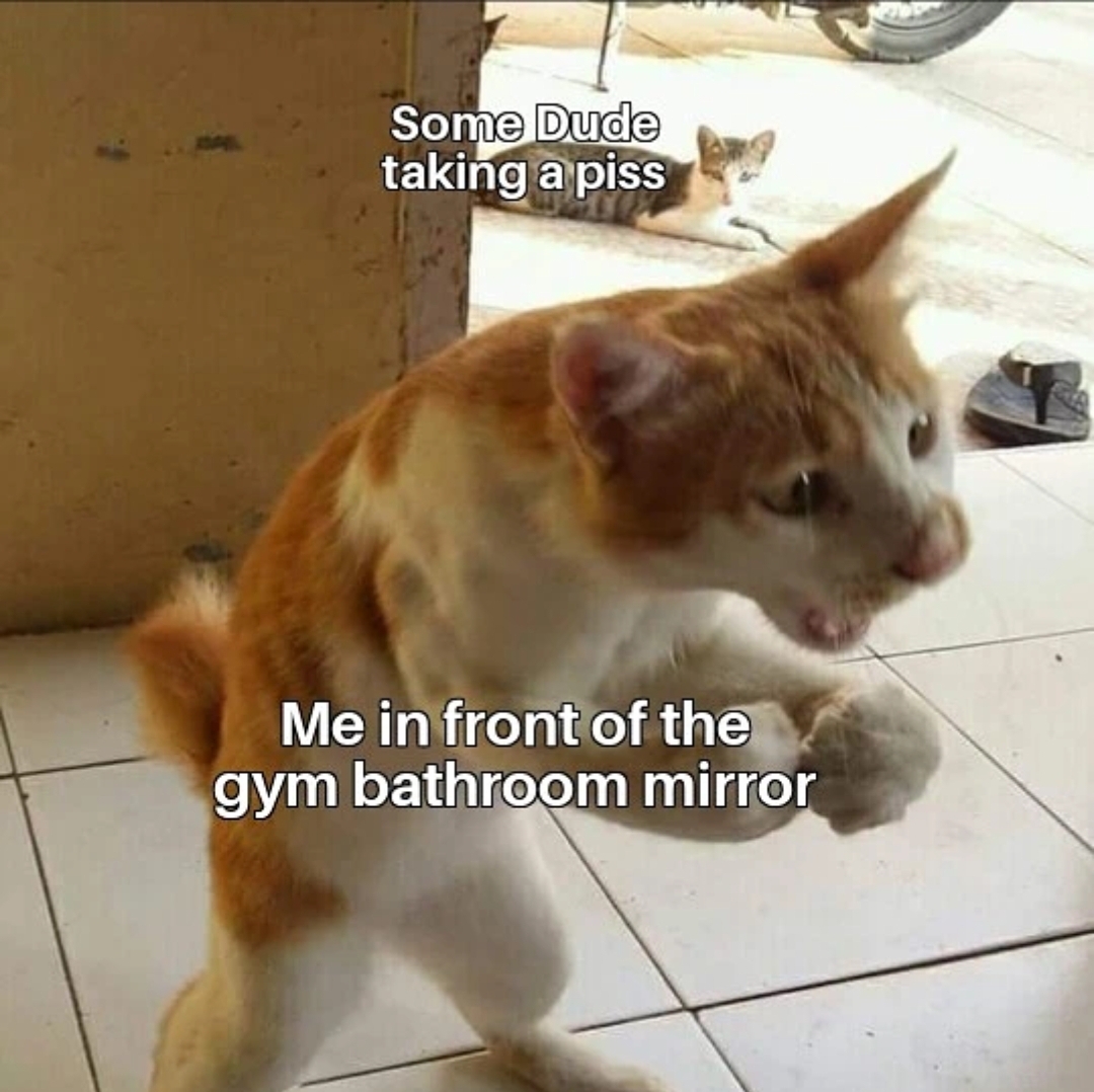 Gym Bathroom mirror lighting is the best r/GymMemes