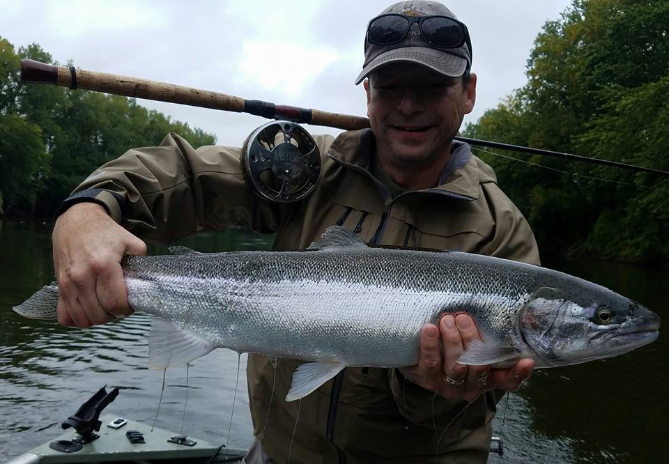 Steelhead on the pin. Grand River r/Fishing