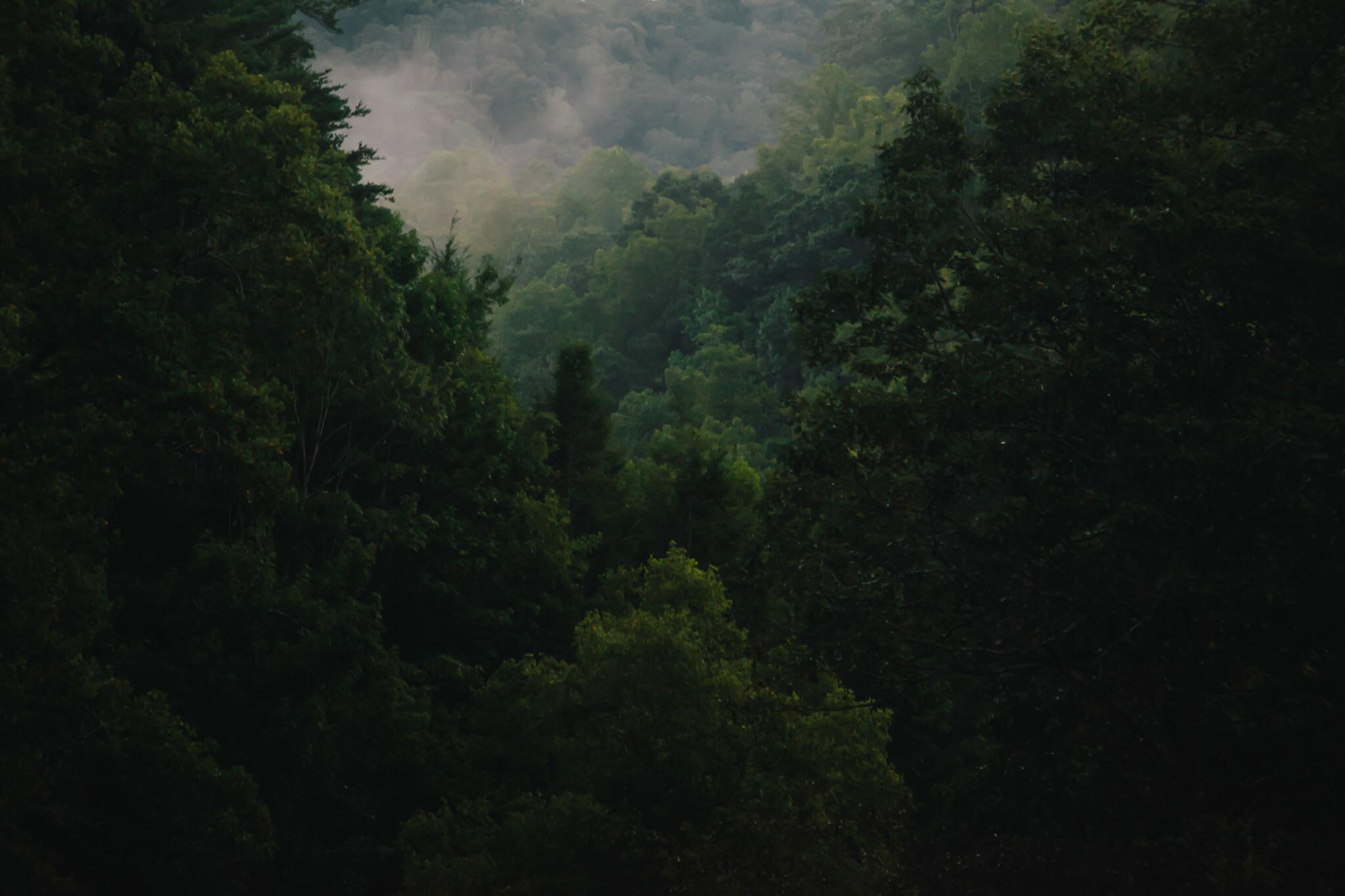 Sunset fog rolling in at Ozone Falls, TN r/CampingandHiking
