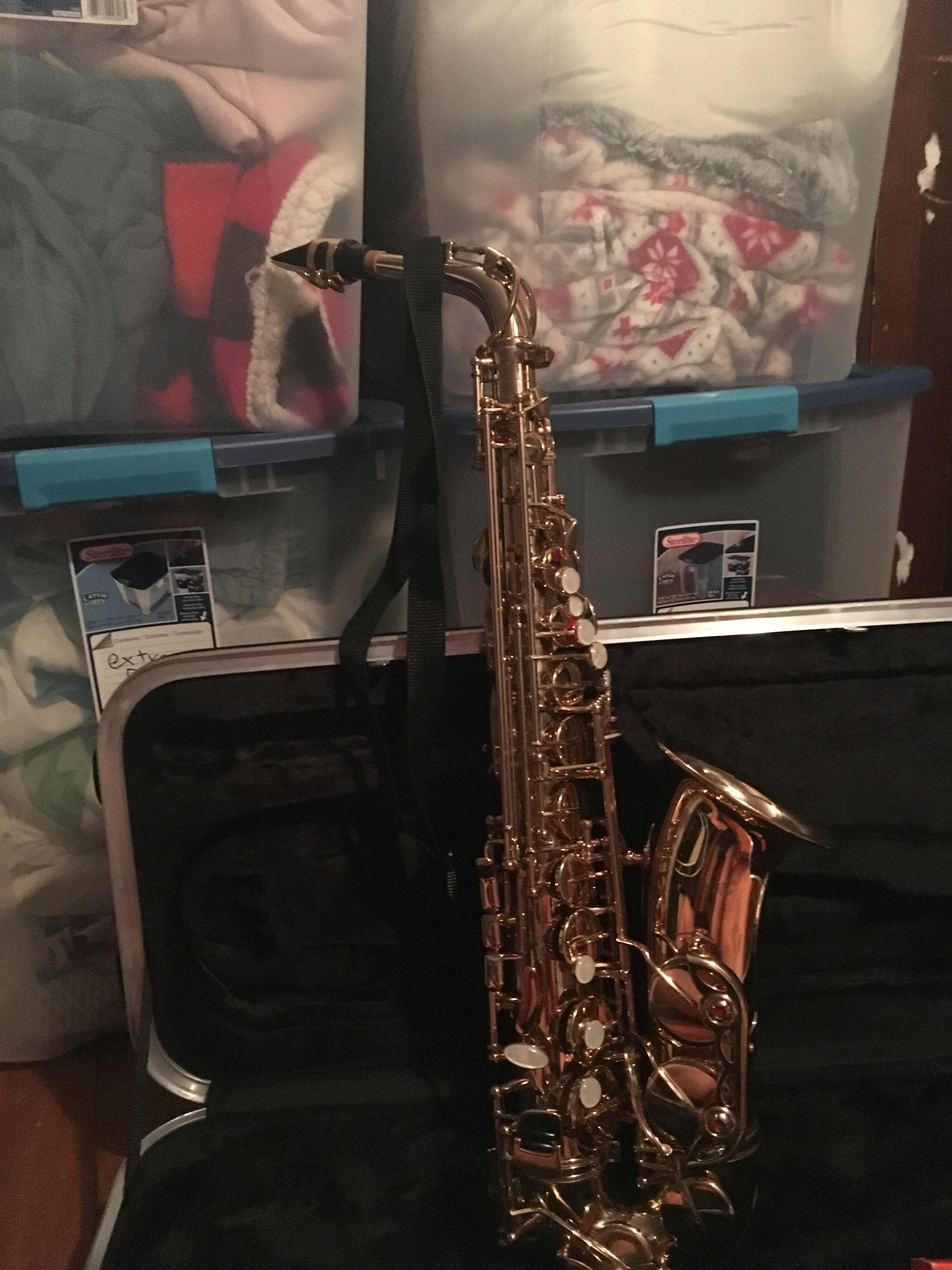 Looking to buy this saxophone. It is an Accent AS710l. What would be a