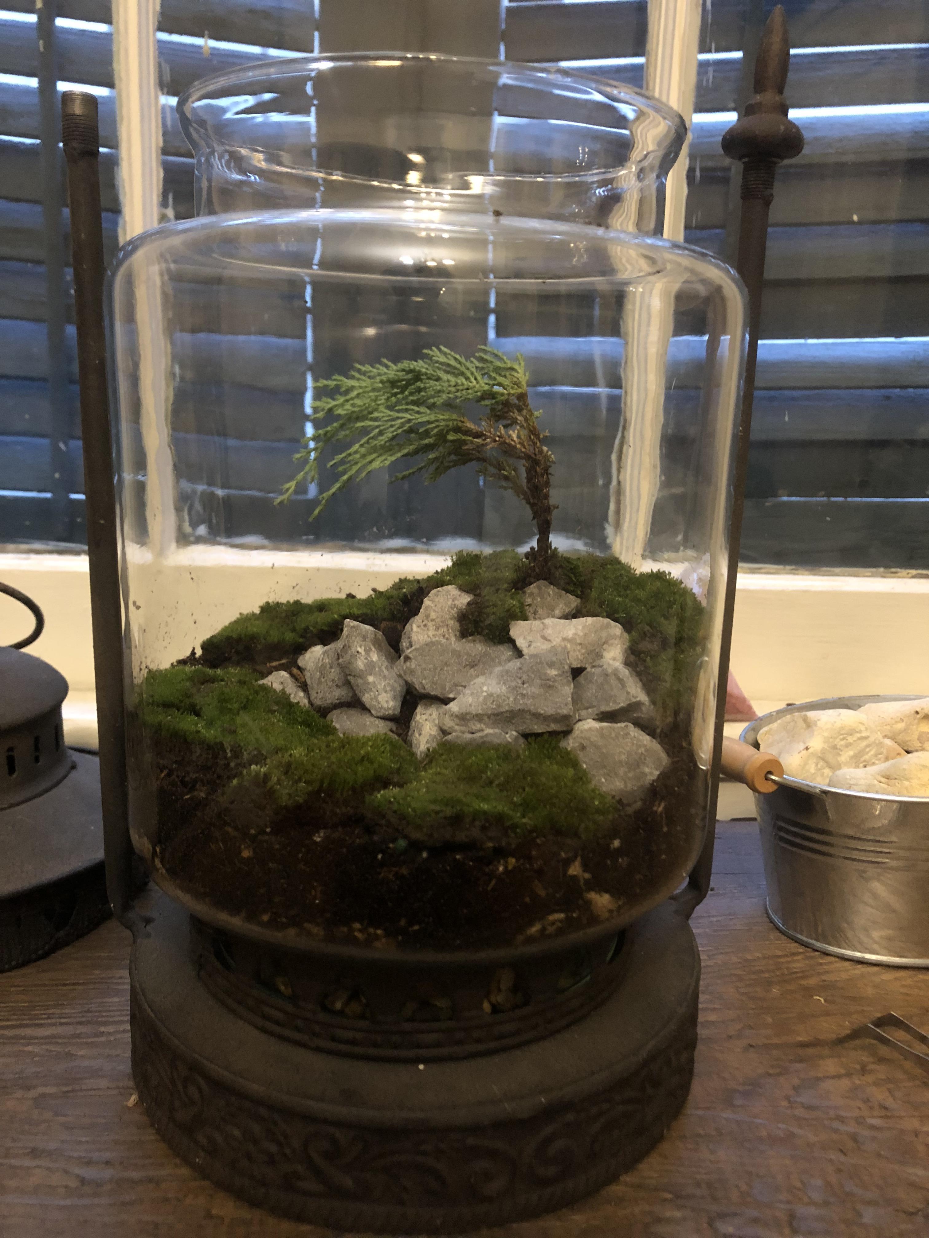 Help! I just made this but I don’t know how to keep it alive. r