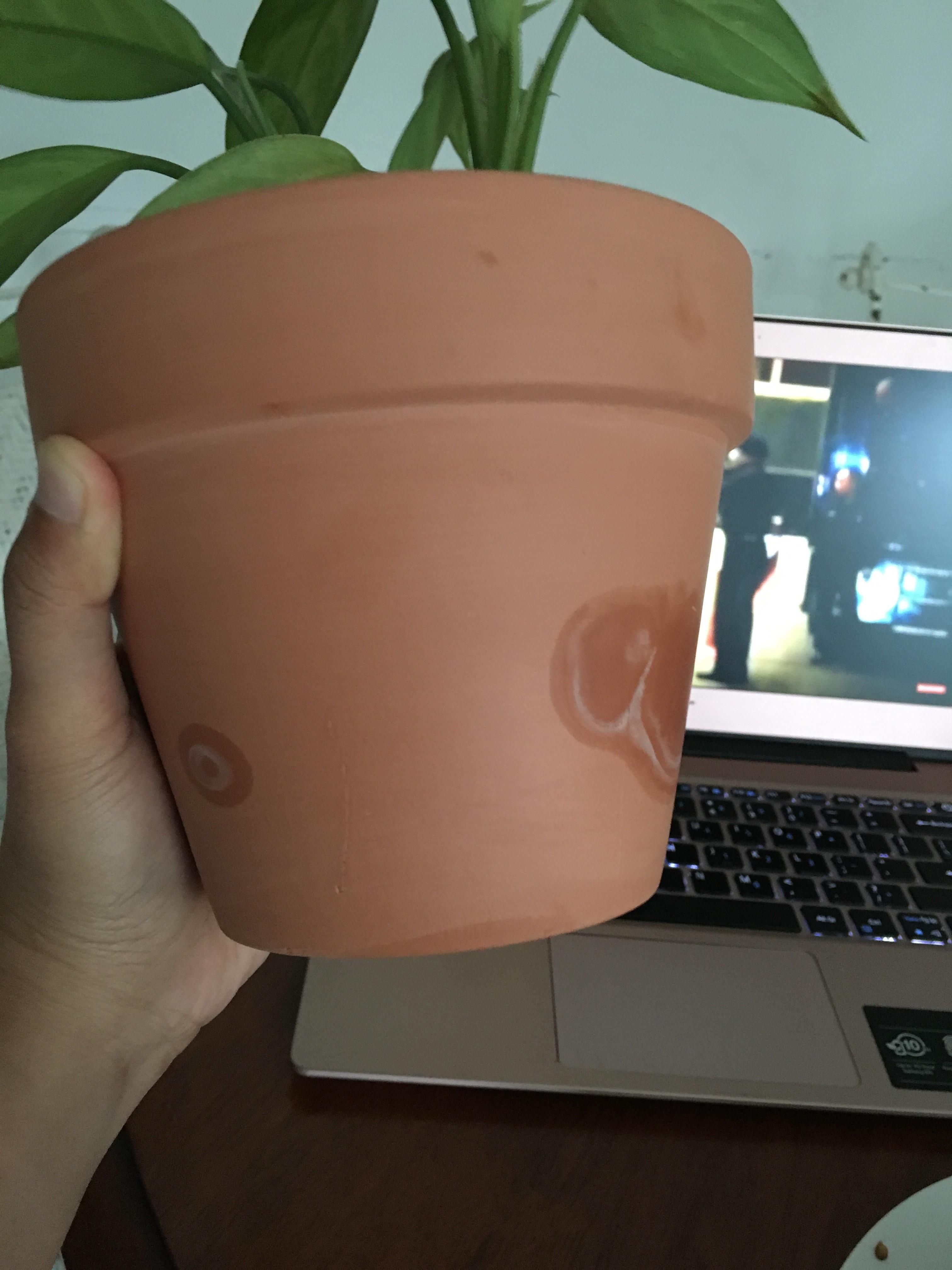 Not a plant question (I think), but my terracotta pot is “growing