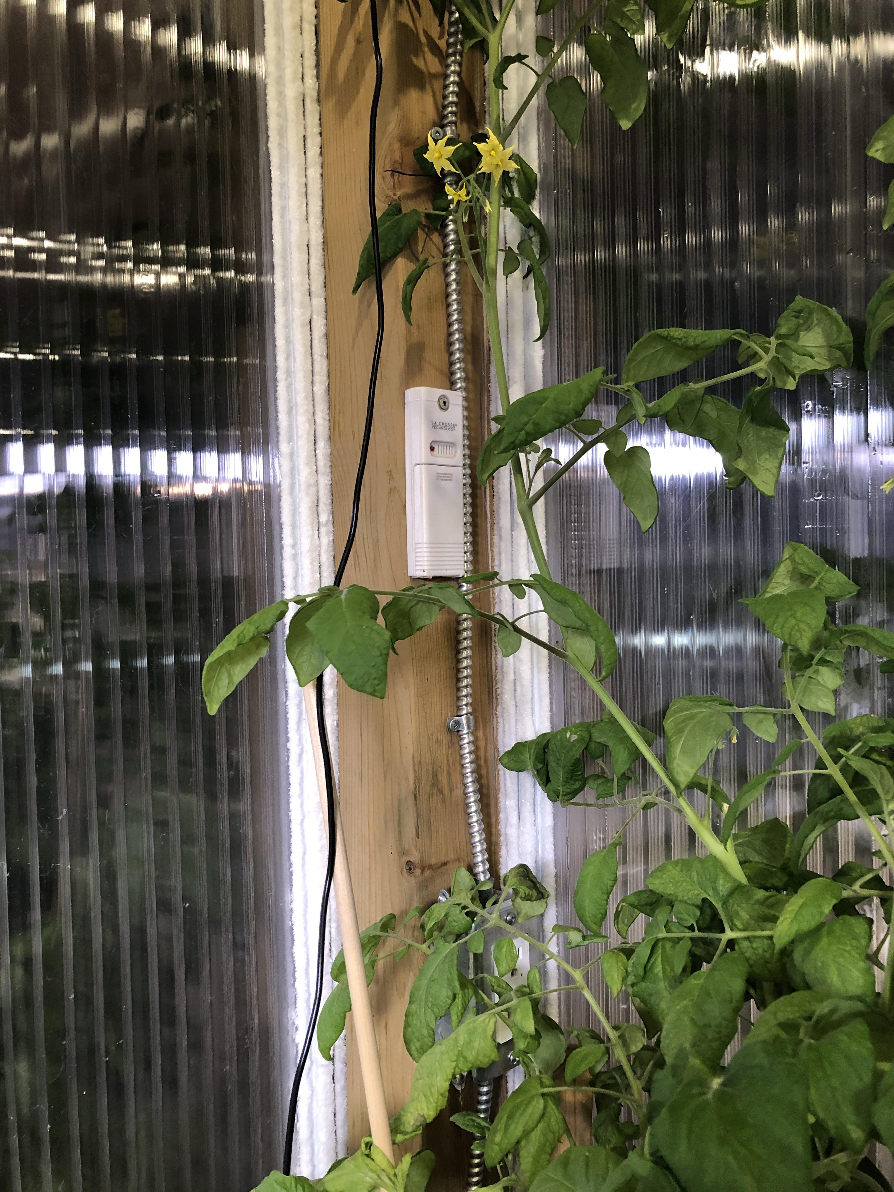 Cold out there tonight! 30C in zone 4b r/Greenhouses