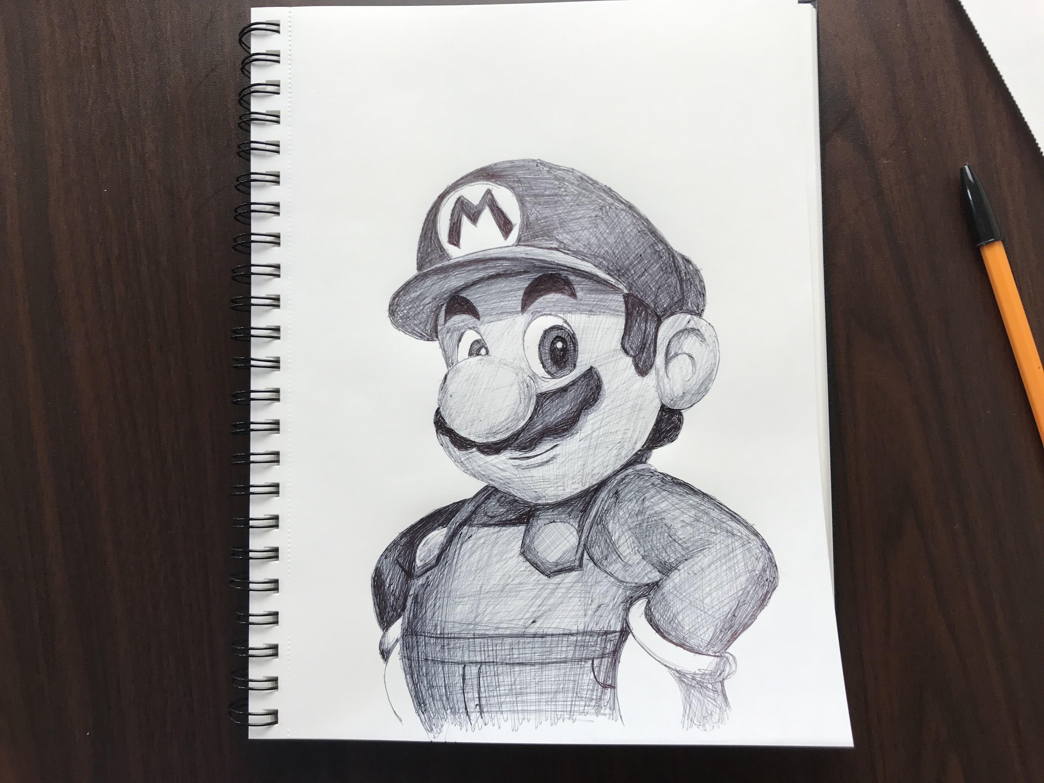 How to draw Super Mario with a pen r/drawing