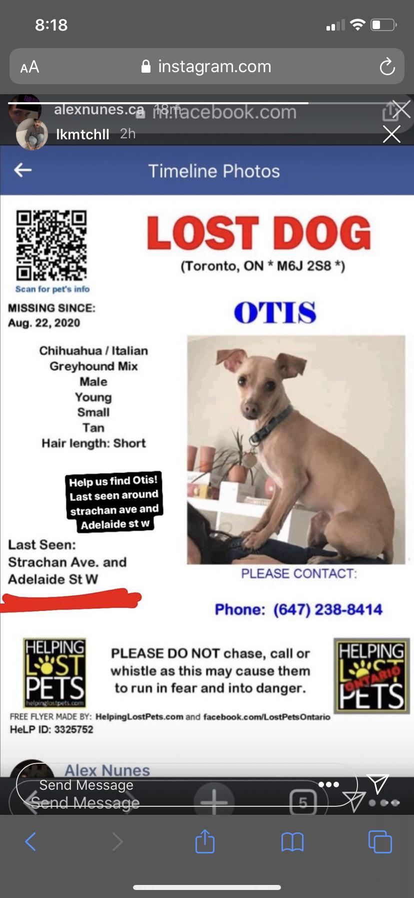 Helping Lost Pets Ontario Helping Lost Pets Helpinglostpets Profile
