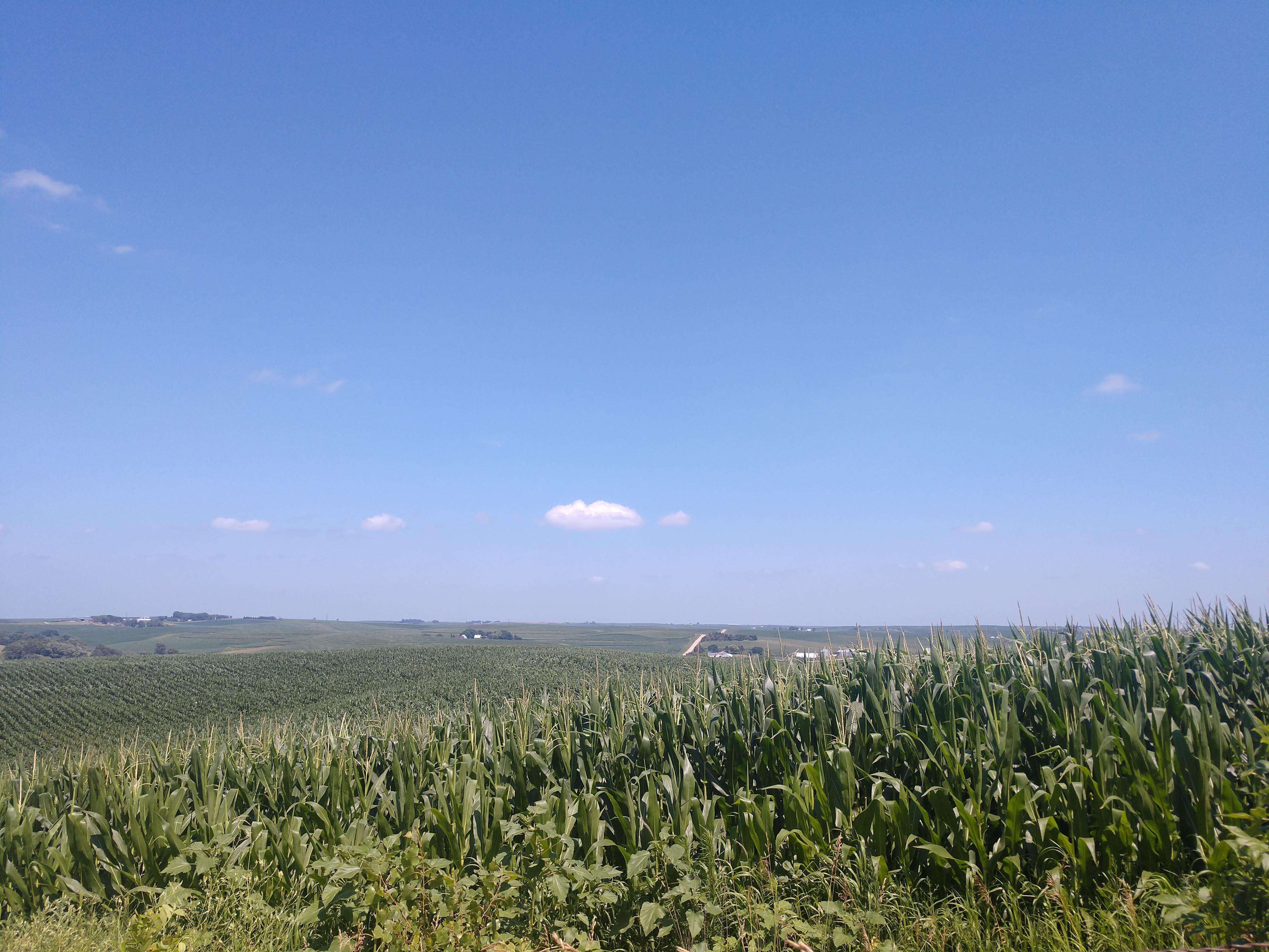 Charter Oak, Iowa r/pics