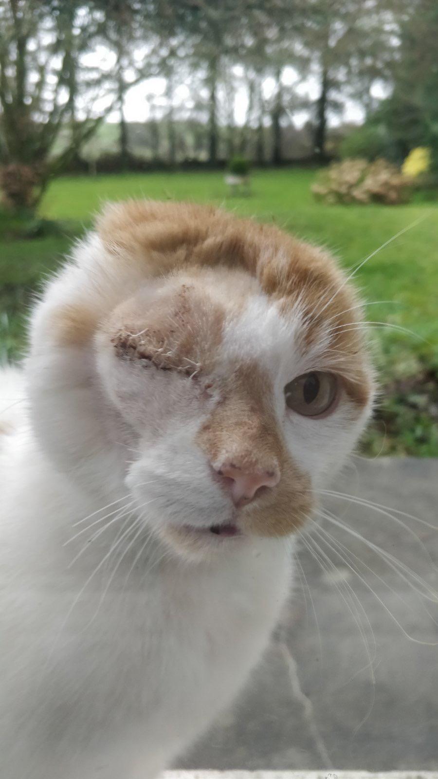 When you get stung by wasps. r/ac_newhorizons