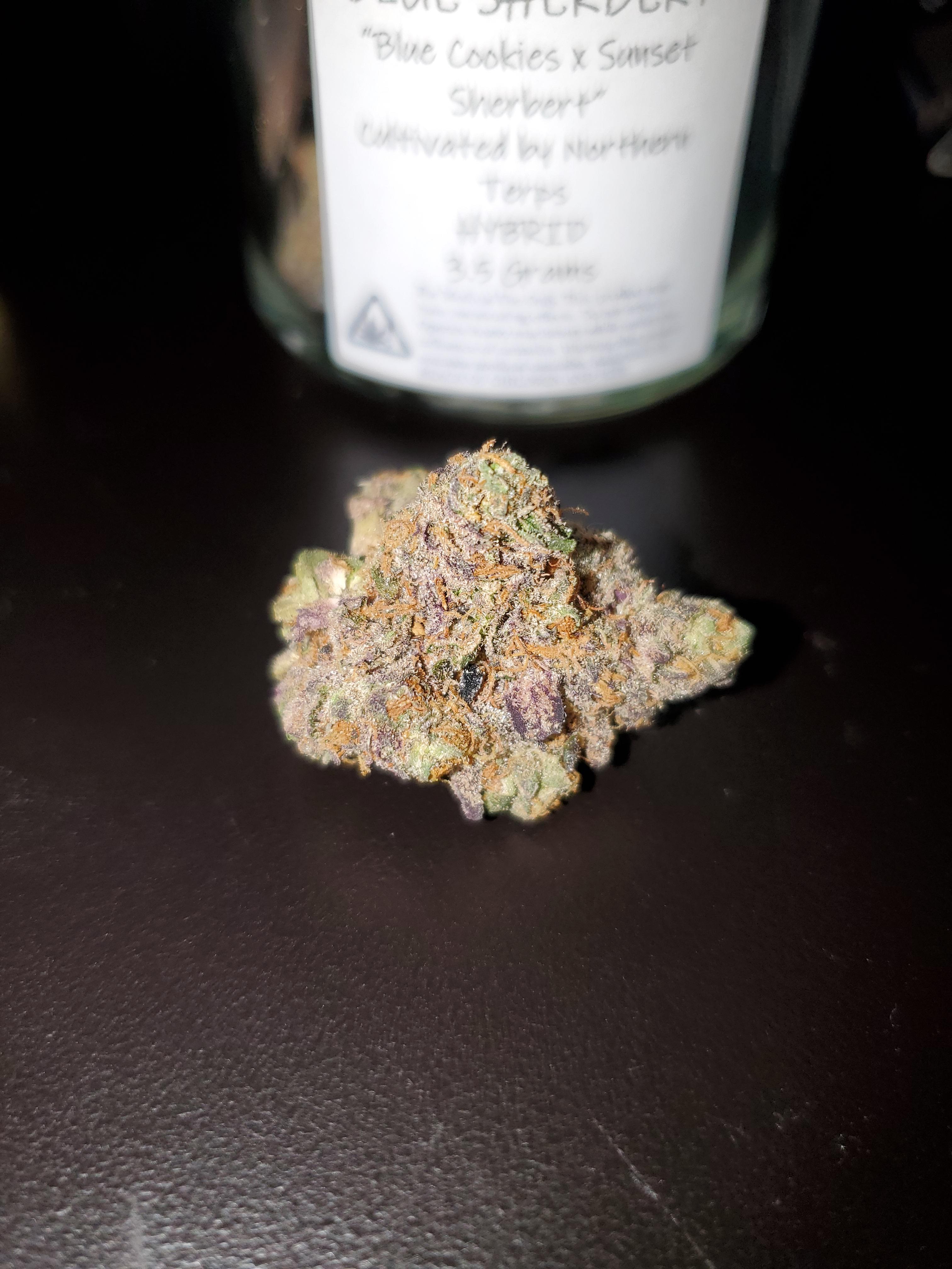 Blue Sherbert (Blue Cookies x Sunset Sherbert) r/nugs