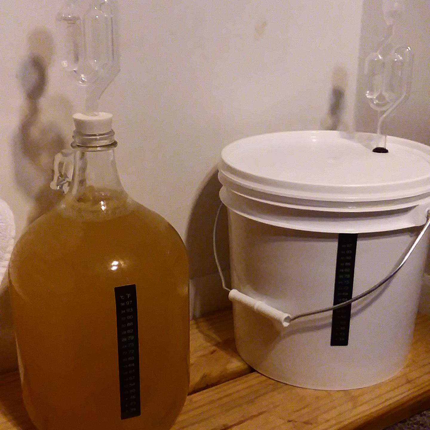 First time making mead. 1 gallon of Raw Spring Honey and a 2 gallon
