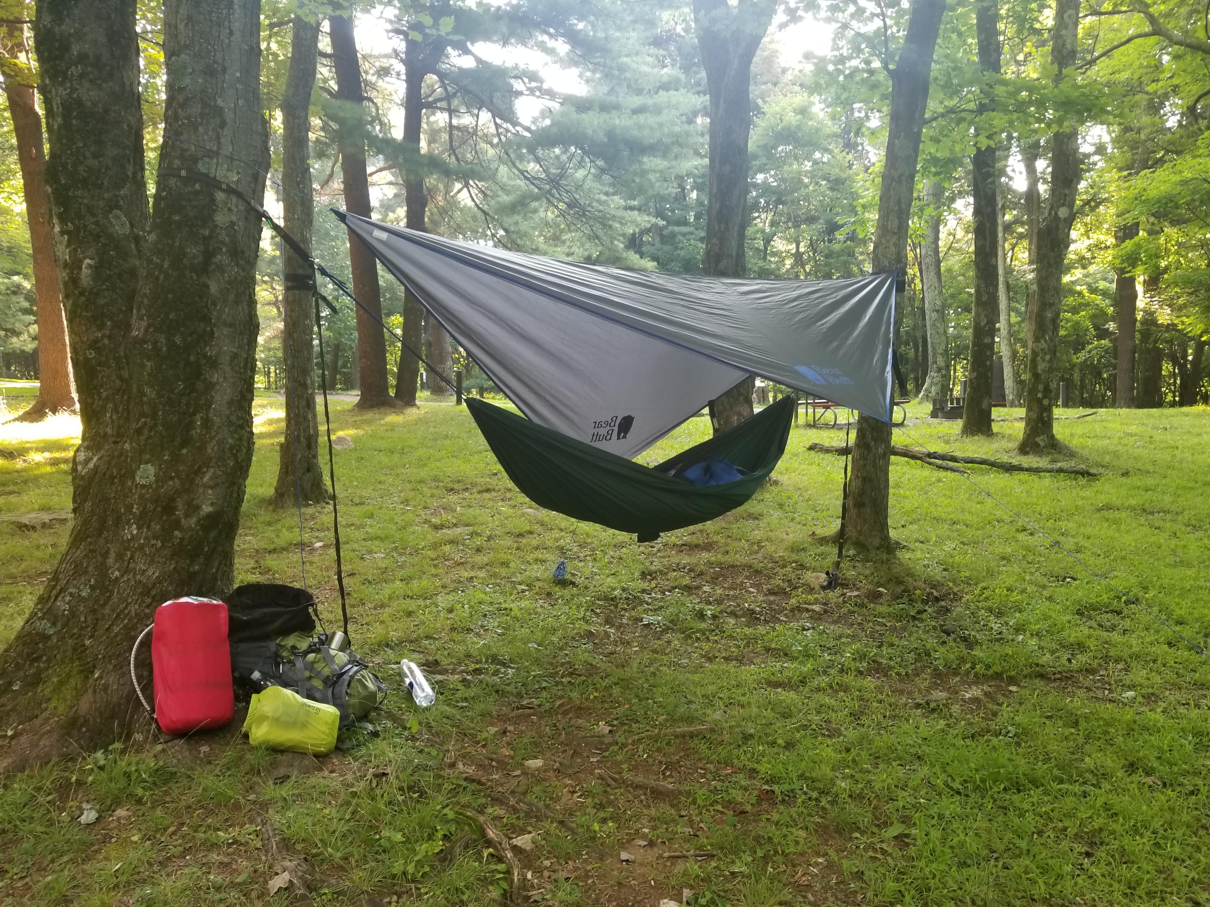 Went out for my first night ever staying in a hammock. All new, low