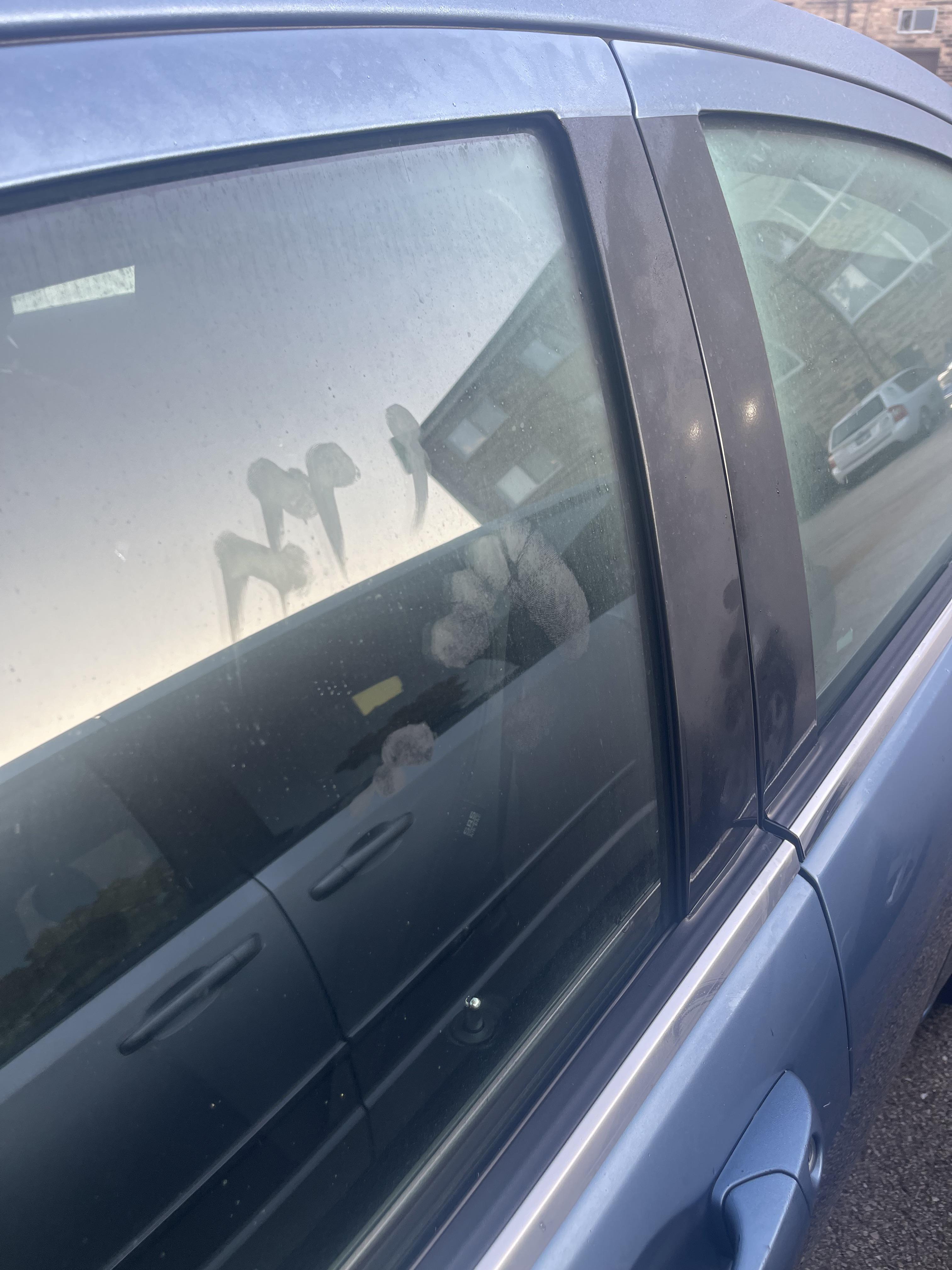 There was a fresh handprint on my driver’s side window this morning