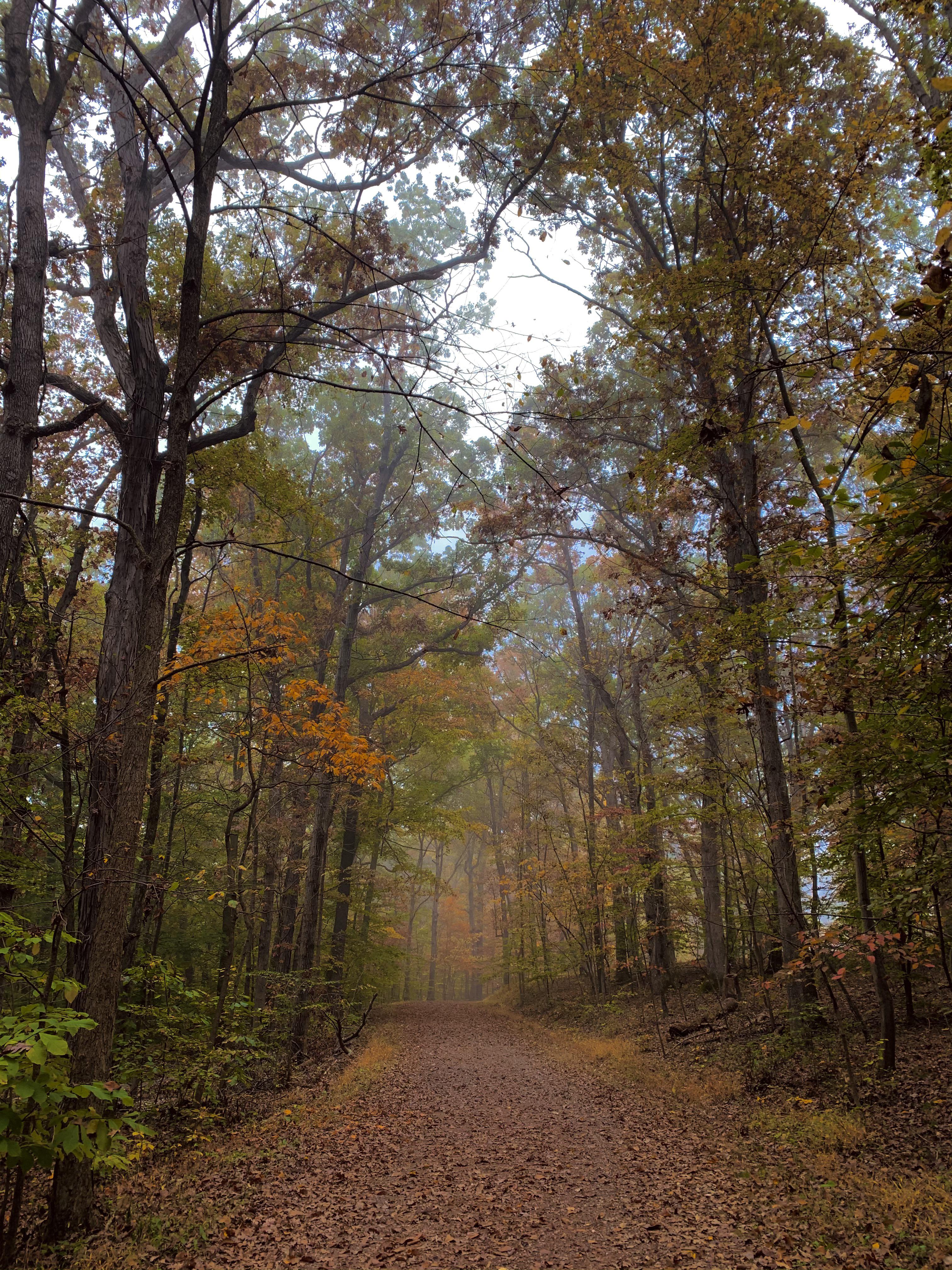 Balls Bluff Regional Park r/nova