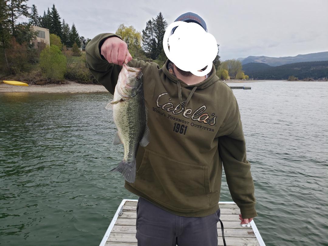 Bucket Mouth! r/Fishing