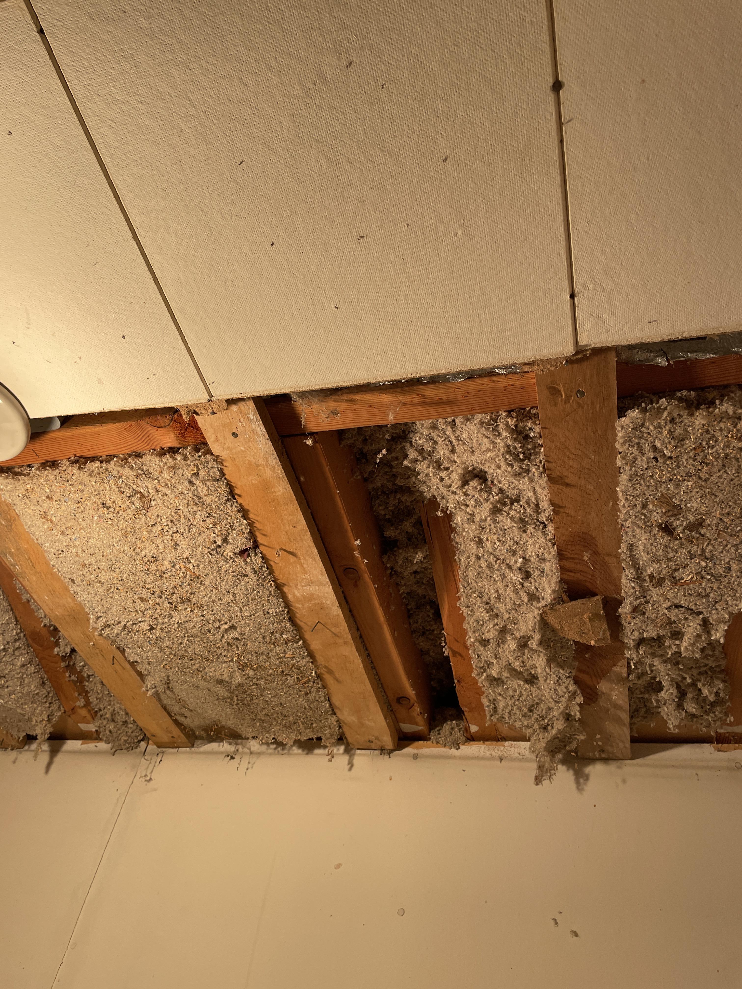 Asbestos in blown in insulation? Looks like cellulose based on what I