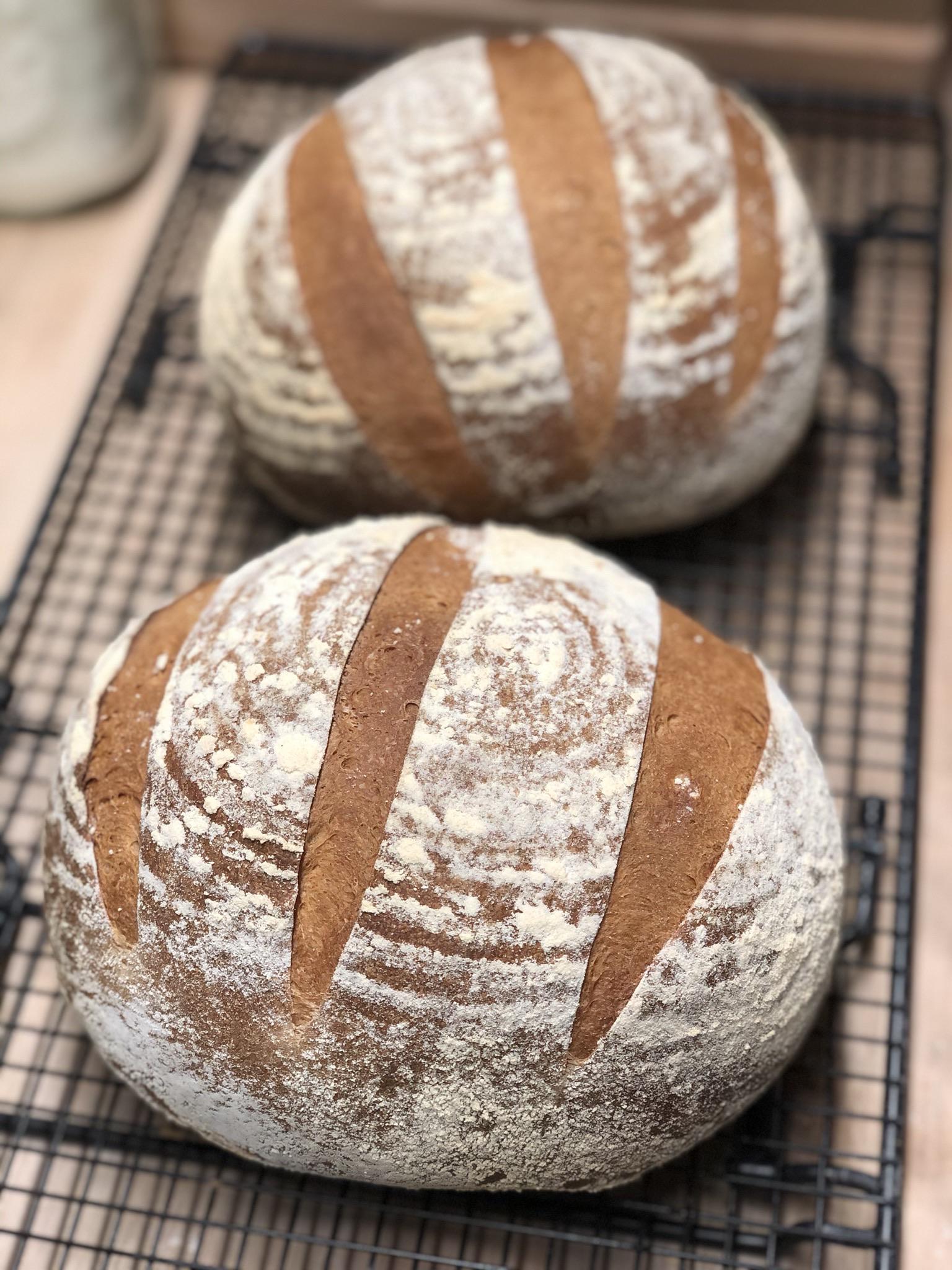 Just got 50lbs of King Arthur HighGluten flour. Here is the first