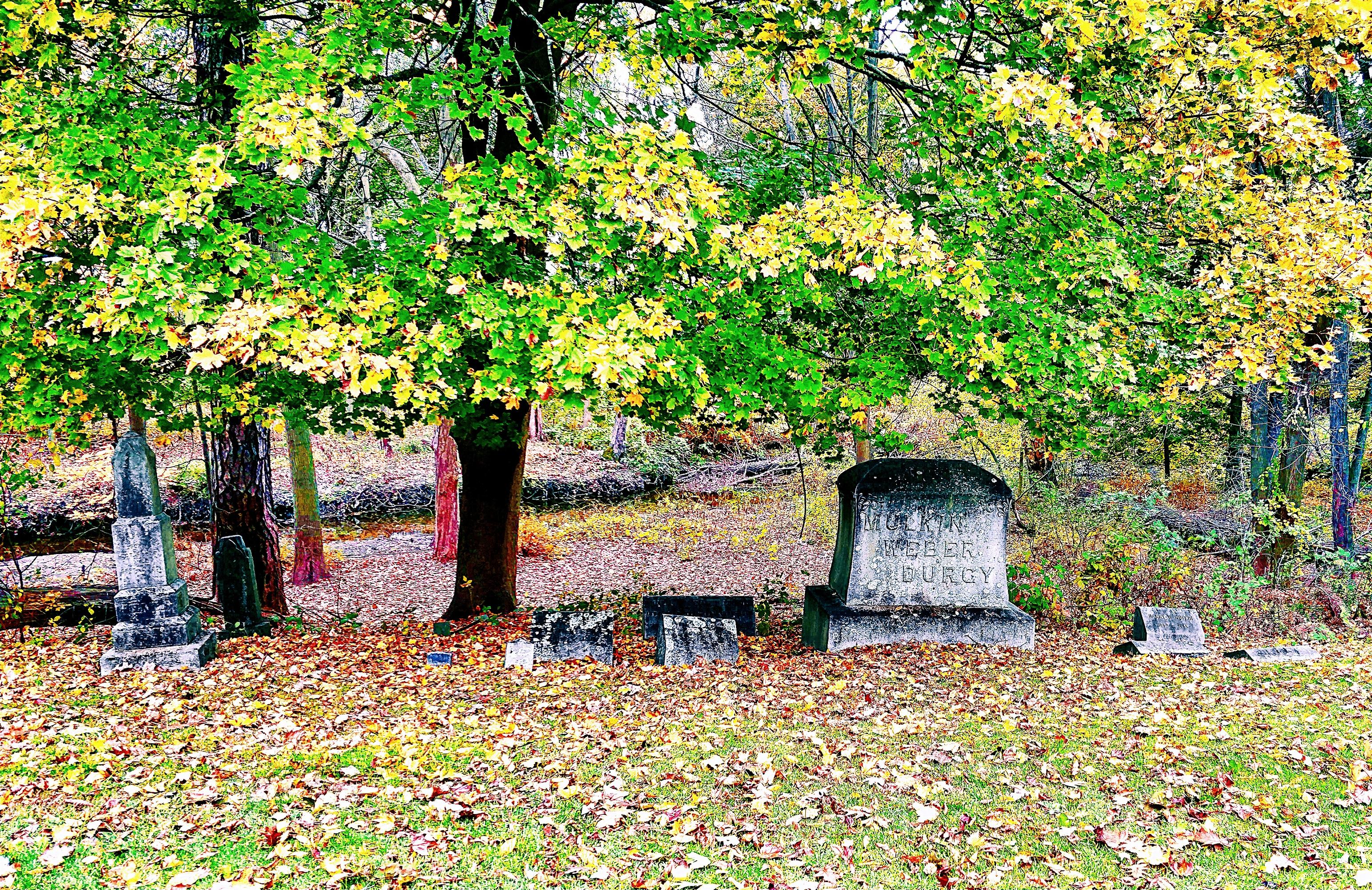 Wooster Cemetery, Danbury. r/Connecticut