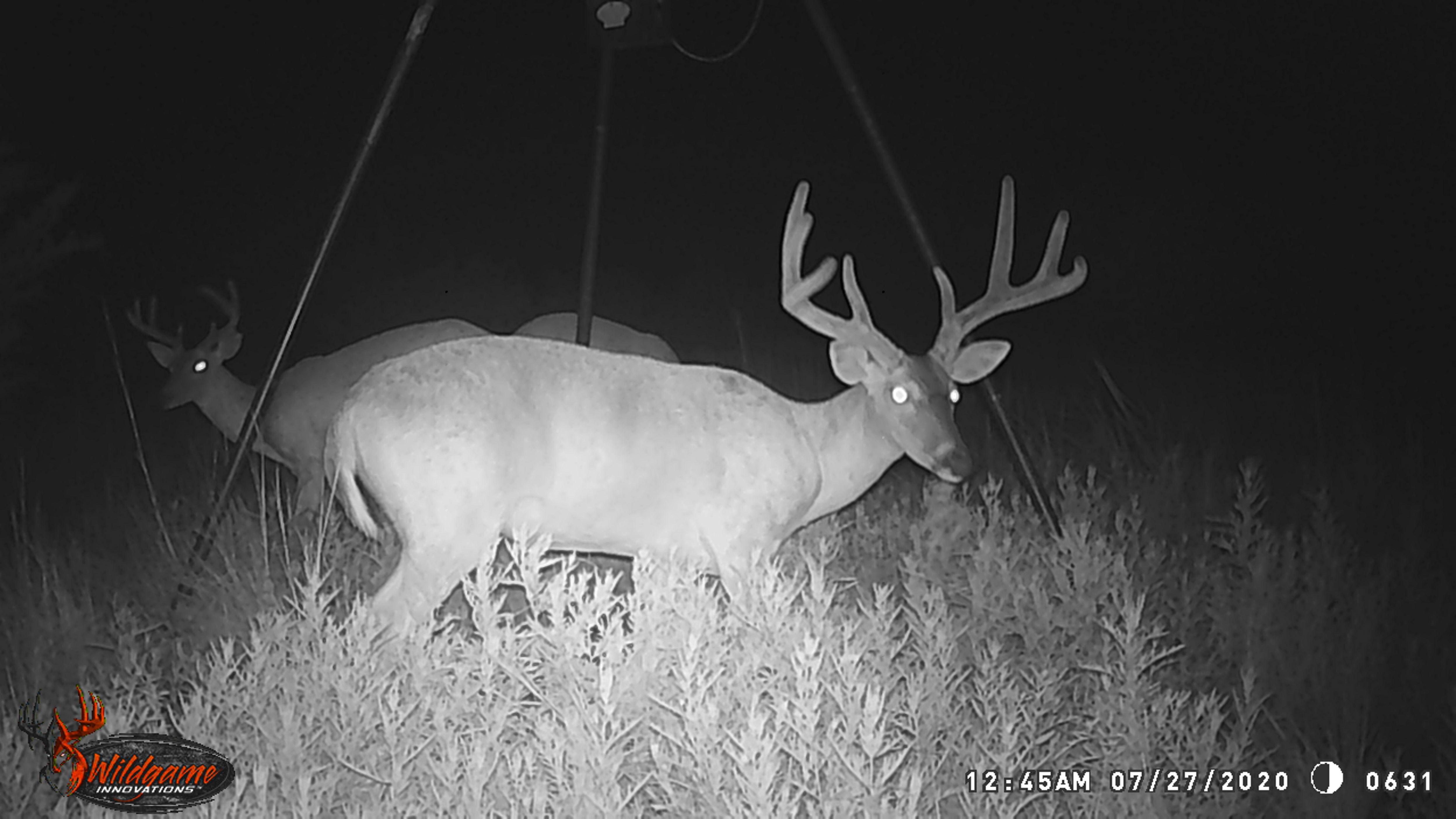 Hunting season needs to hurry up! Stephenville,Texas r/Hunting