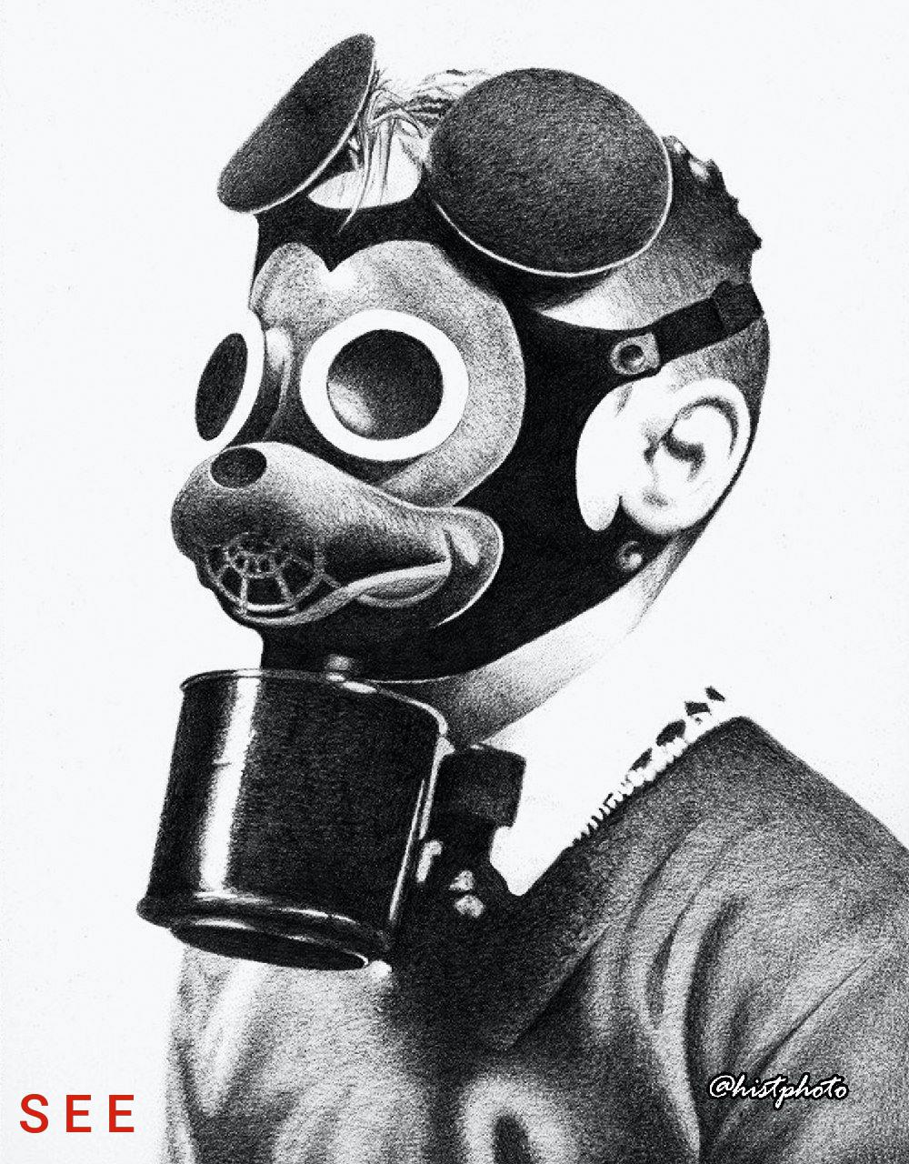 During World War II, the State Department of Defense commissioned Walt