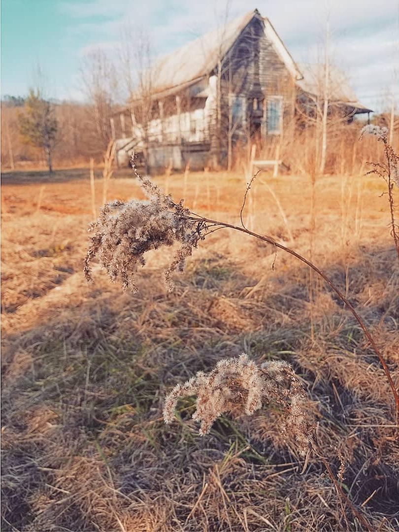 Old farm house in Gadsden, Alabama [1080x1080] [OC] r/ruralporn