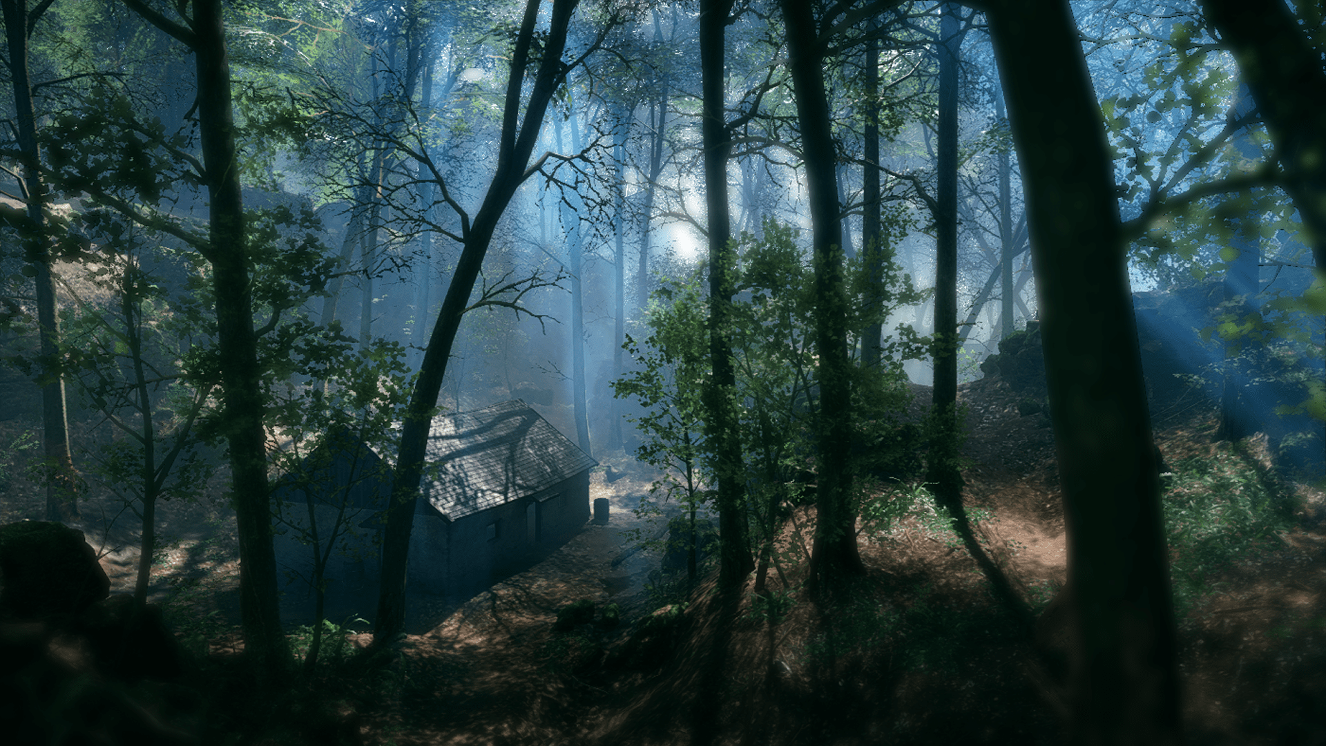 The Argonne Forest r/battlefield_one