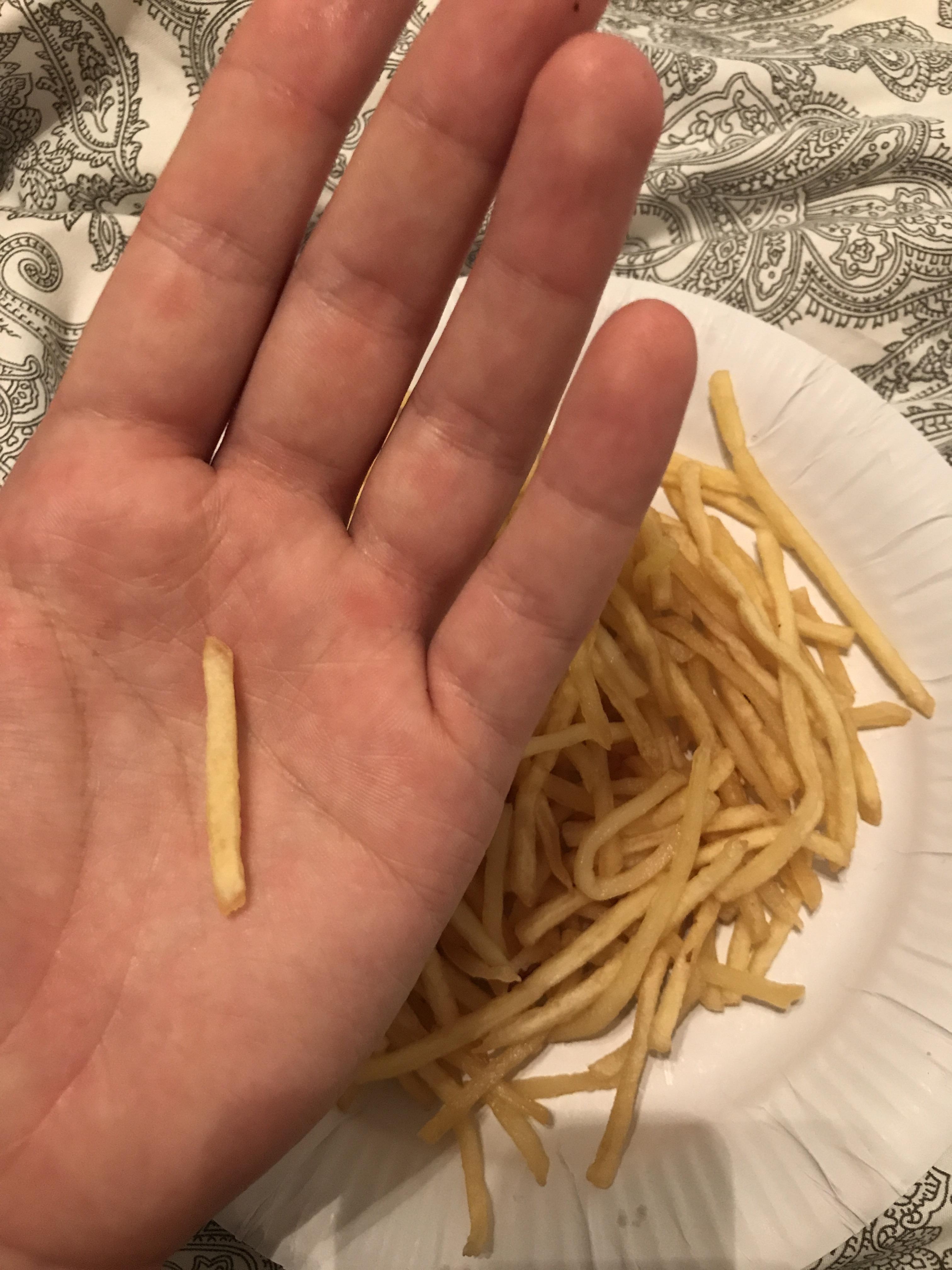 What are these? Chips for ants? r/thingsforants