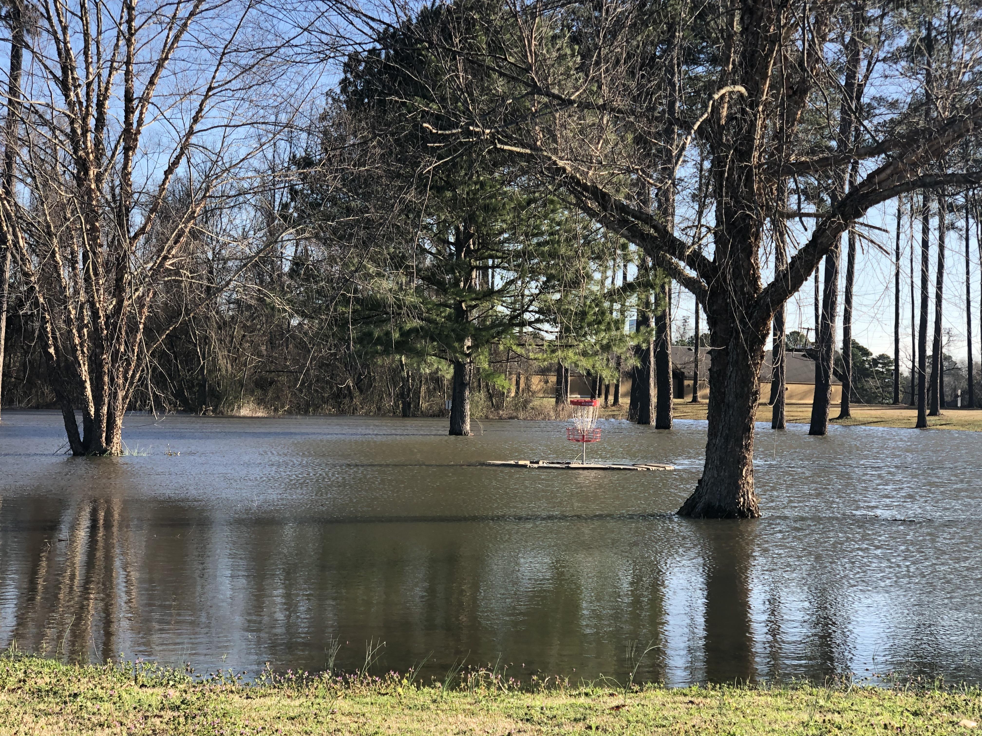 Hole 19 at Hartselle Alabama this morning. How do I approach this? r