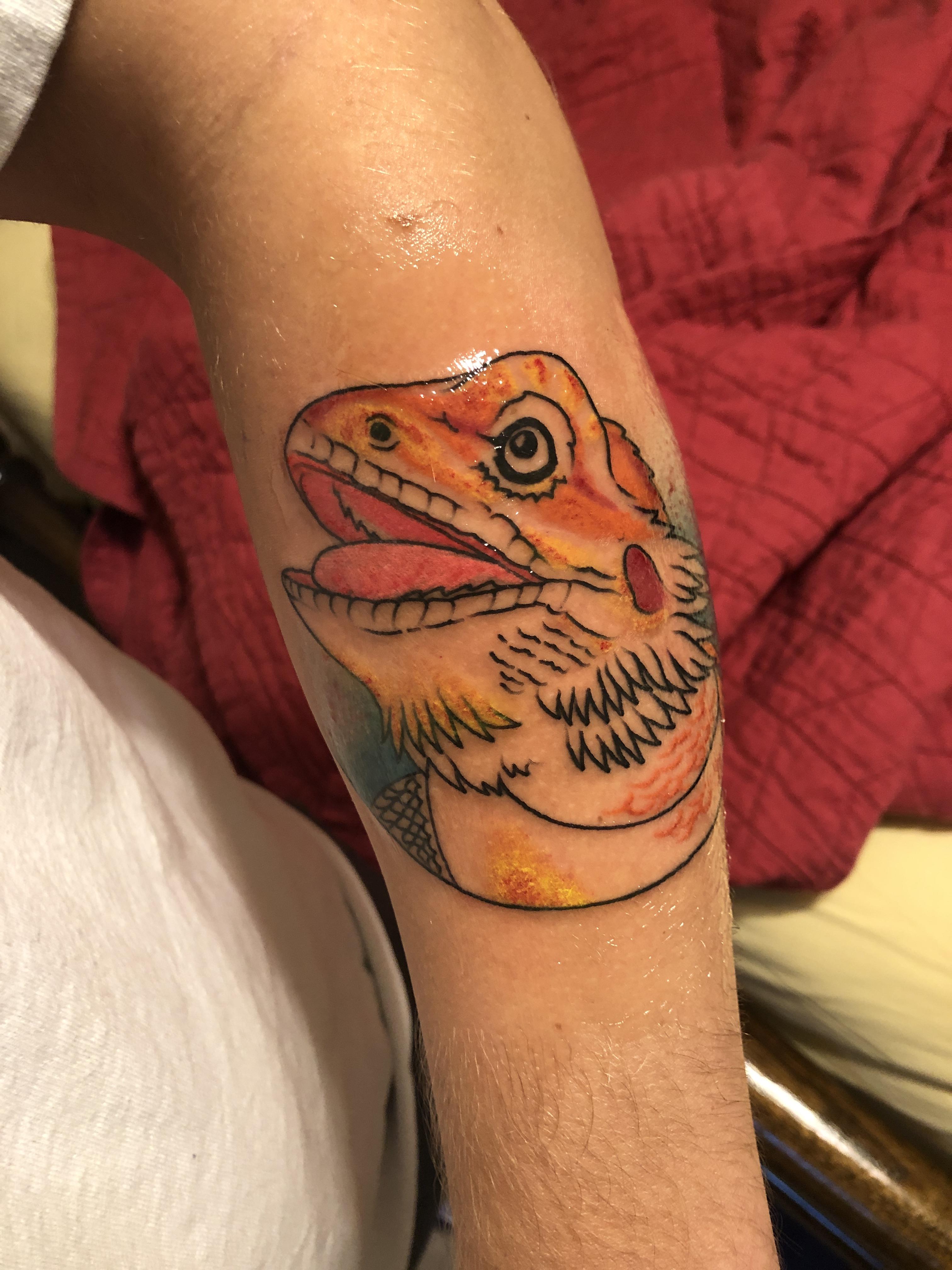 Got my baby girl Nugget tattooed on me BeardedDragons