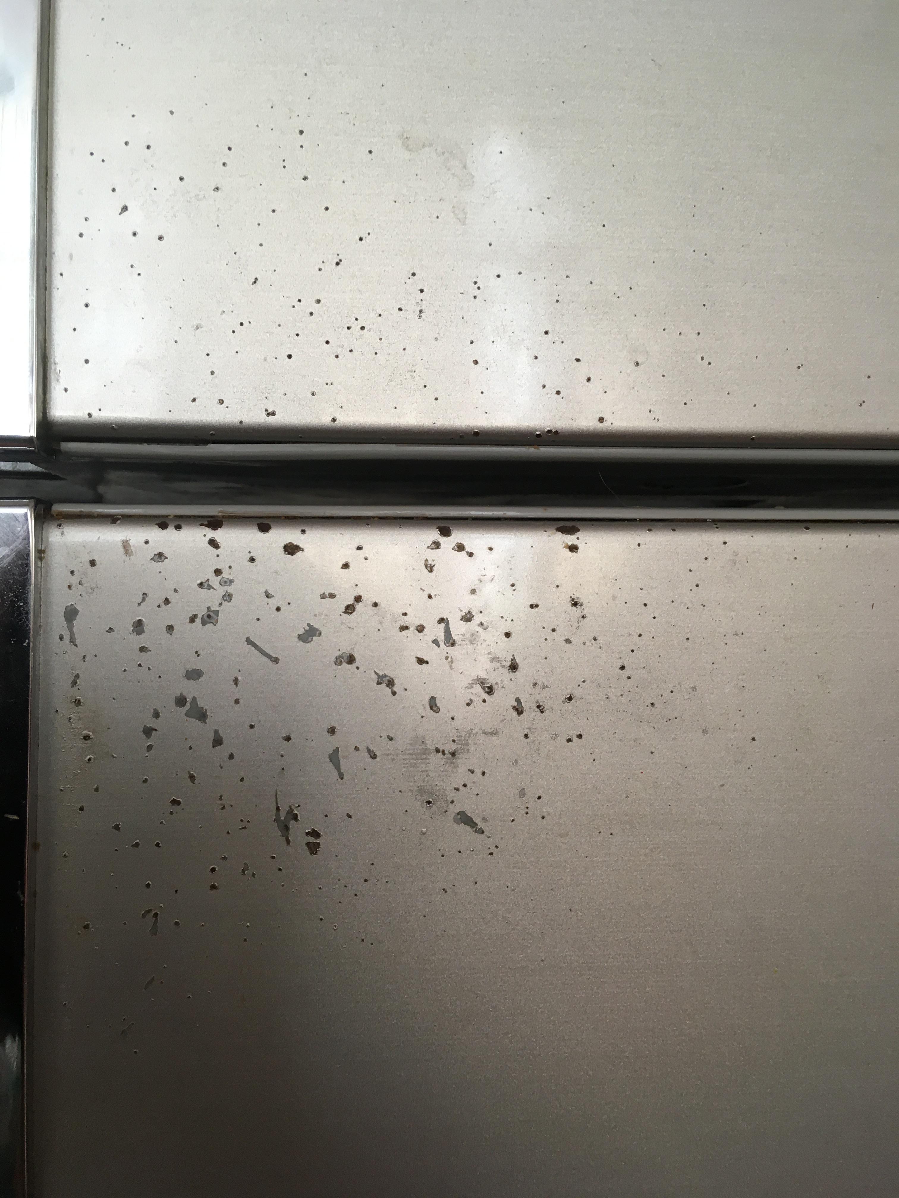 How to get these spots off my refrigerator ? r/howto
