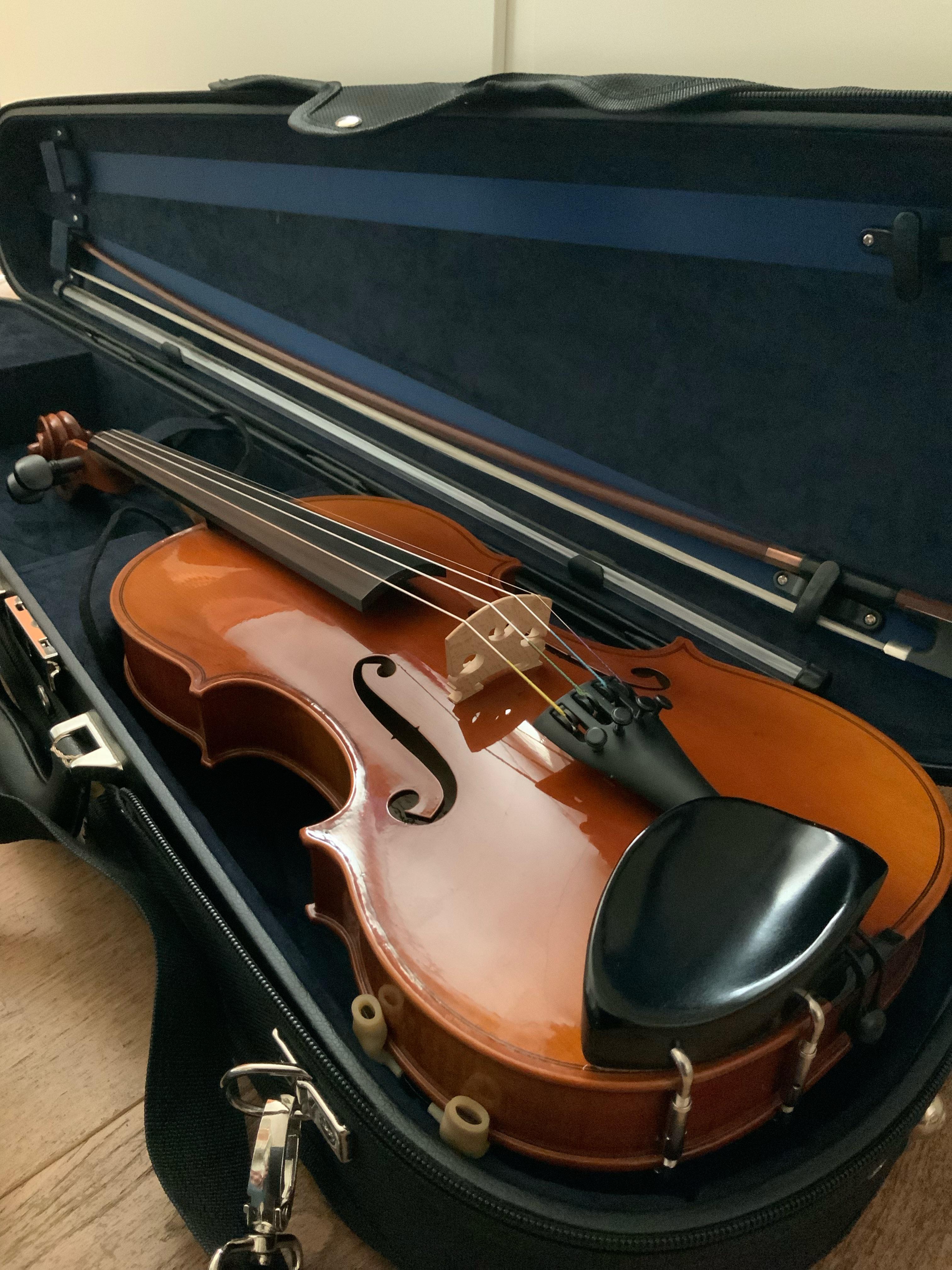 My first violin! r/violinist