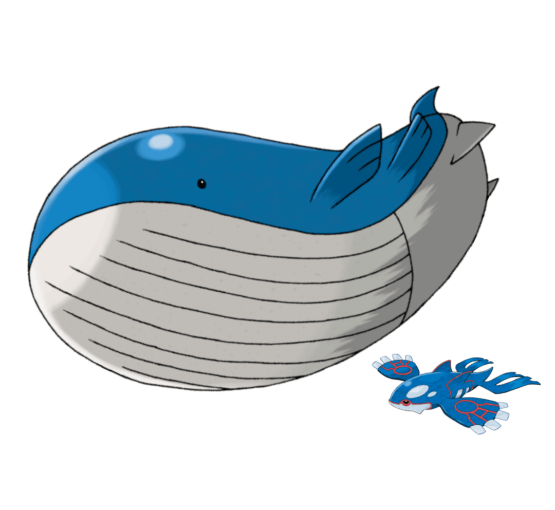 Wailord Size Comparison Trainer