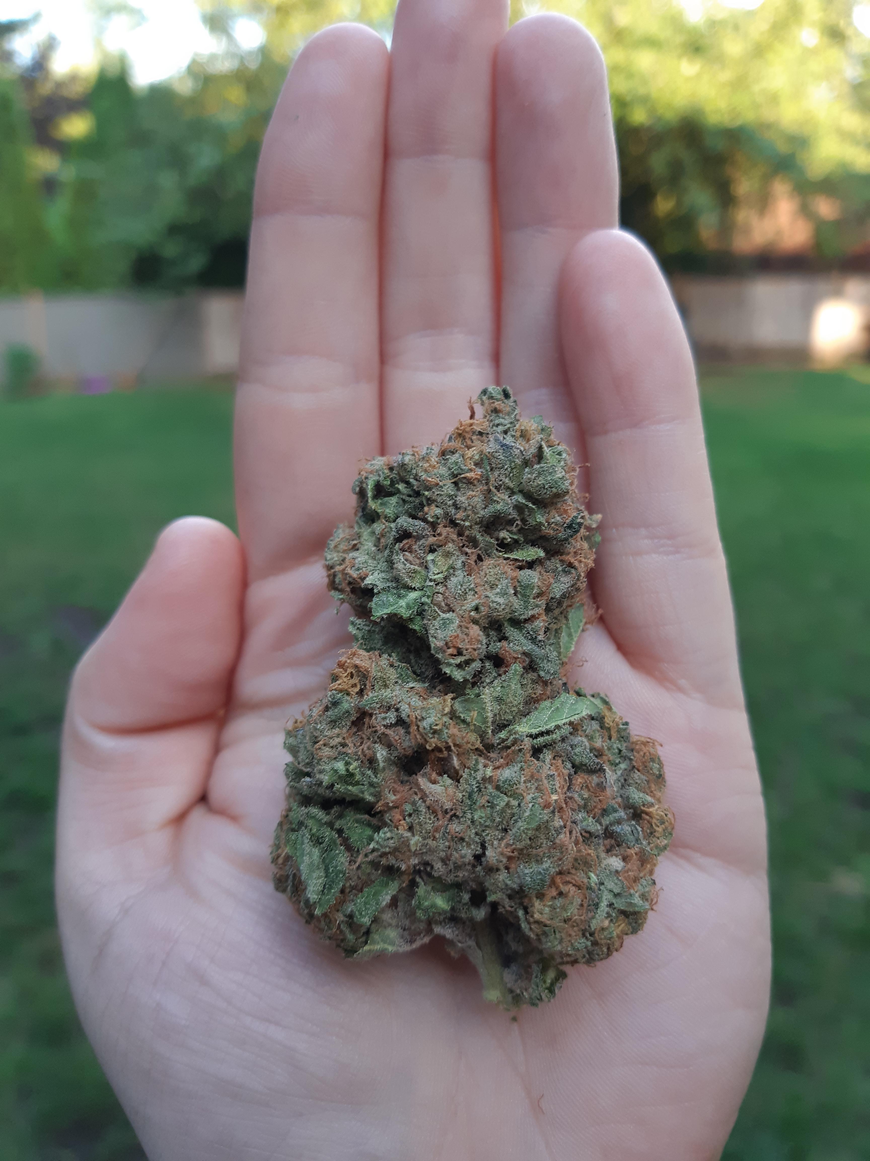 I got the most beautiful bud ♡ r/420