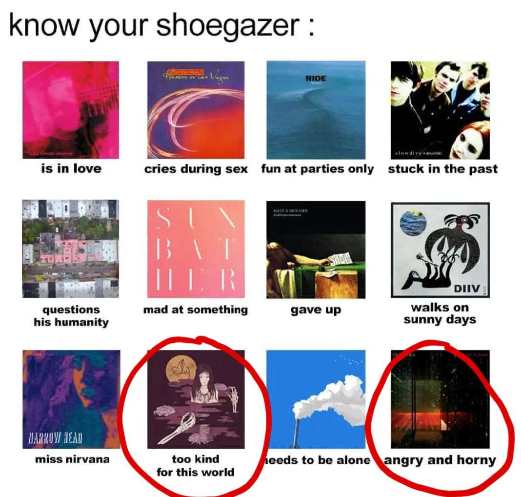 PLEASE CAN SOMEONE TELL ME WHAT THESE ALBUMS ARE?!?! Also this is a