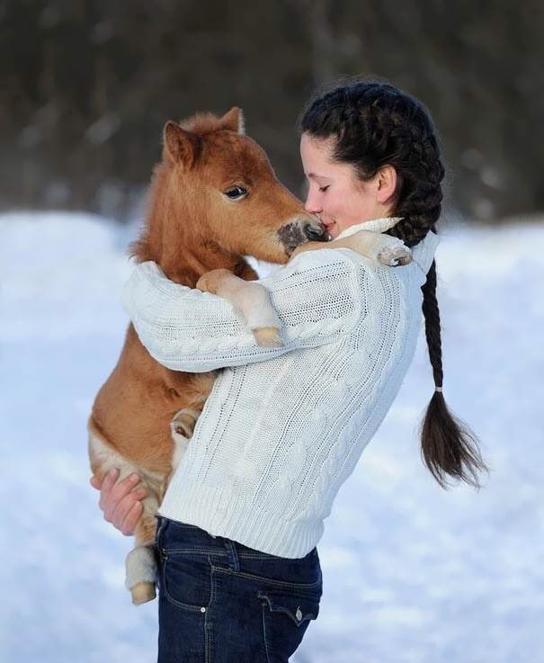 Found this cute baby horse r/aww