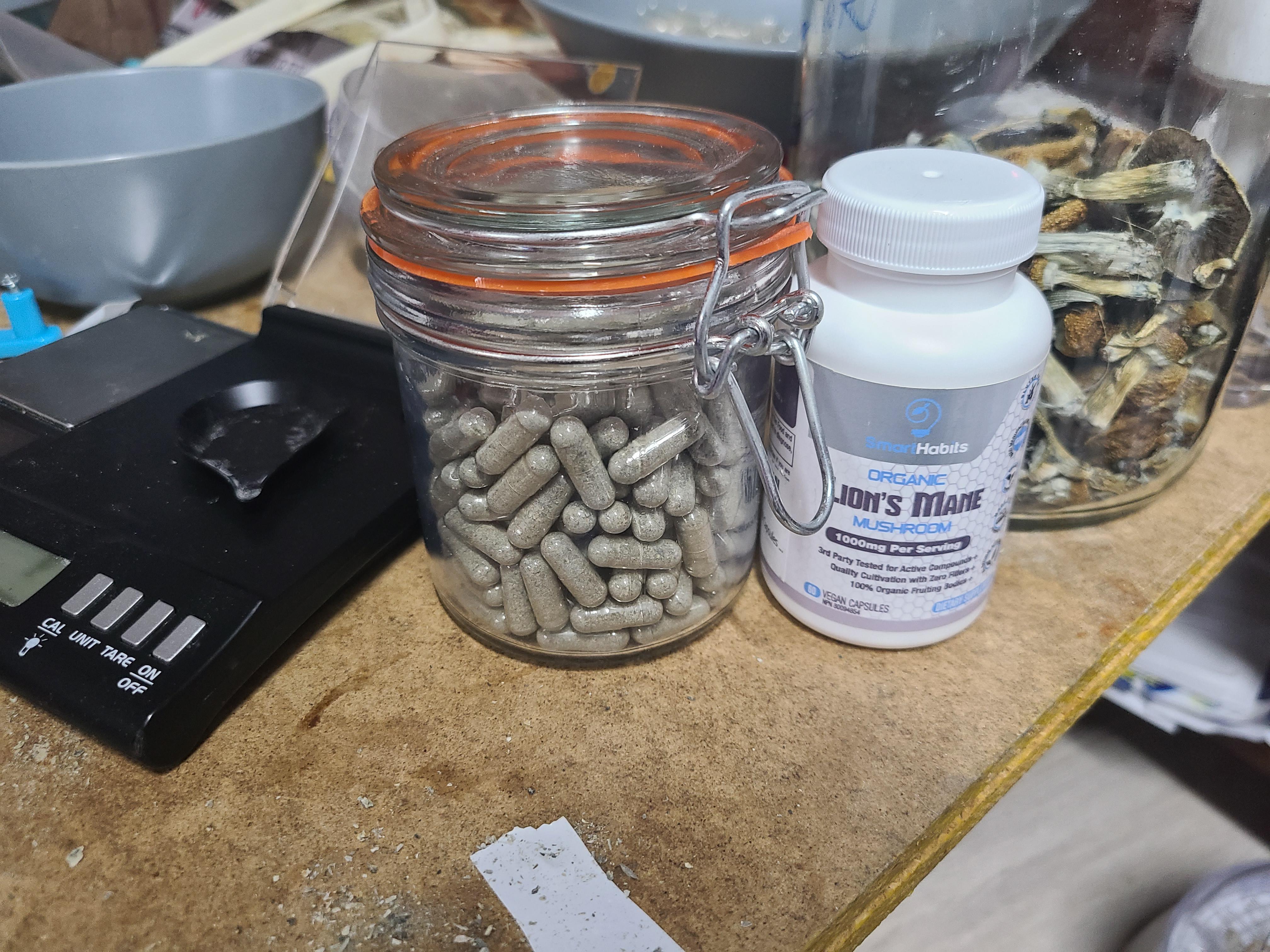 Lion's man and microdosing are definitely a winning combination. Never