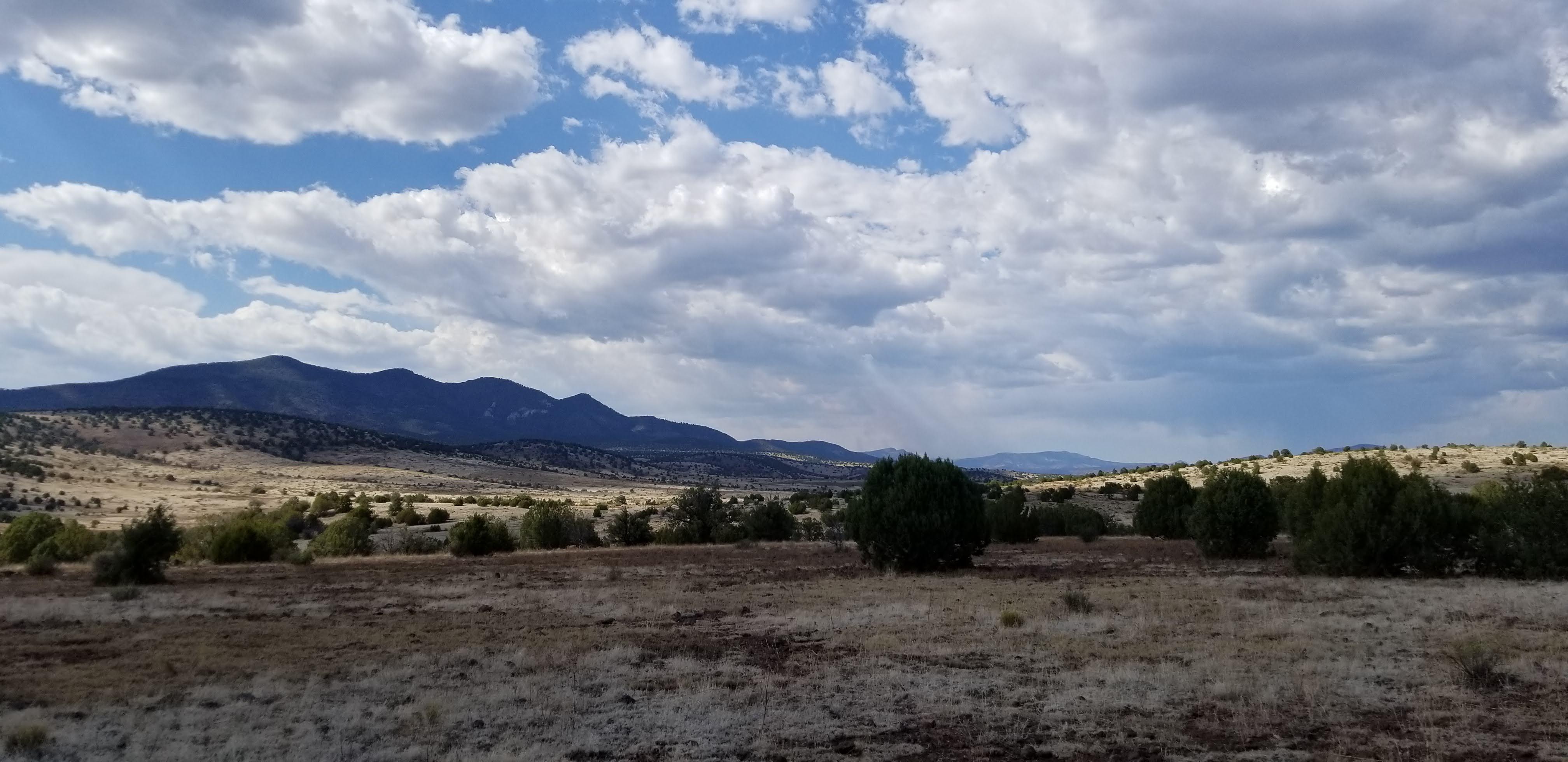 Gila National Forest. A few miles west of Alma, NM near the Arizona/New