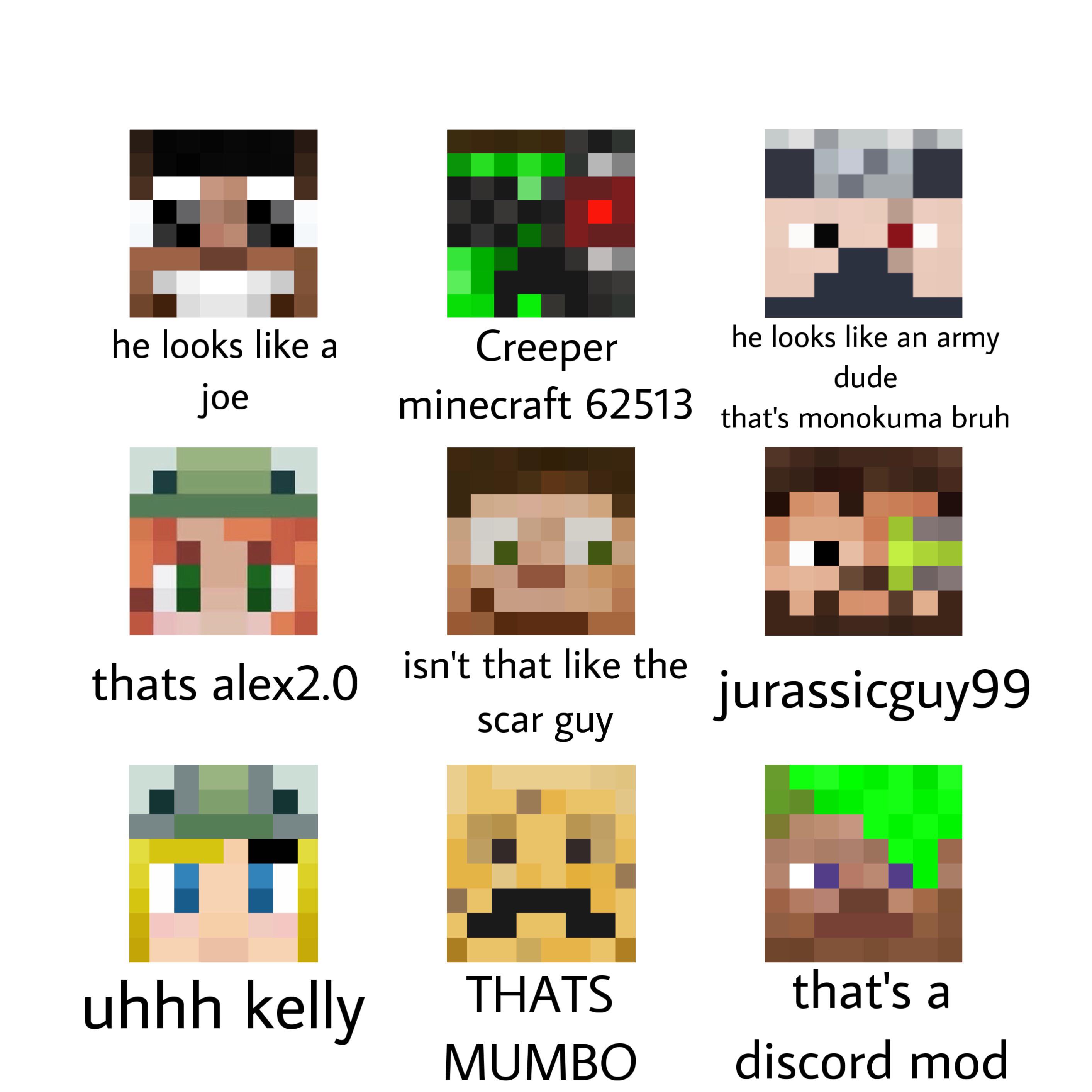 My sister names Hermits HermitCraft