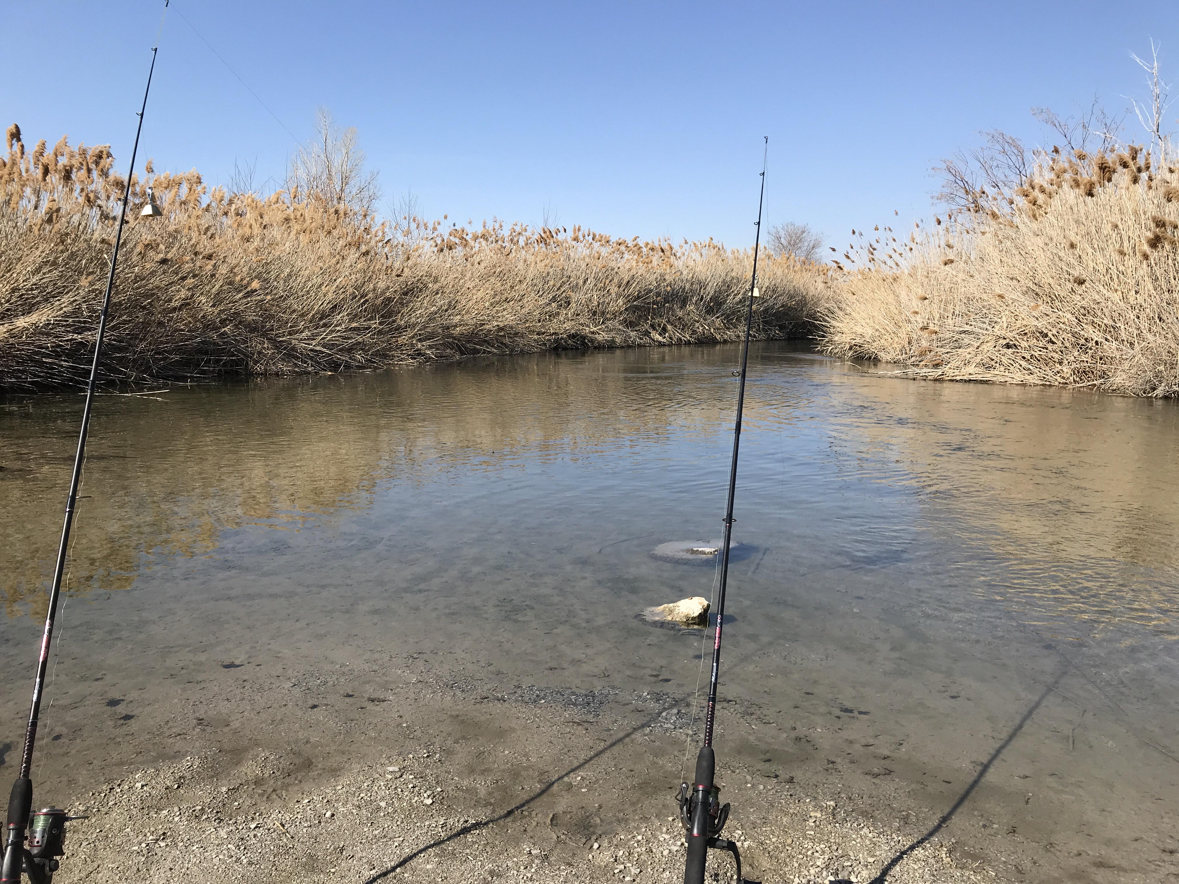 Fishing the Jordan River Today r/SaltLakeCity