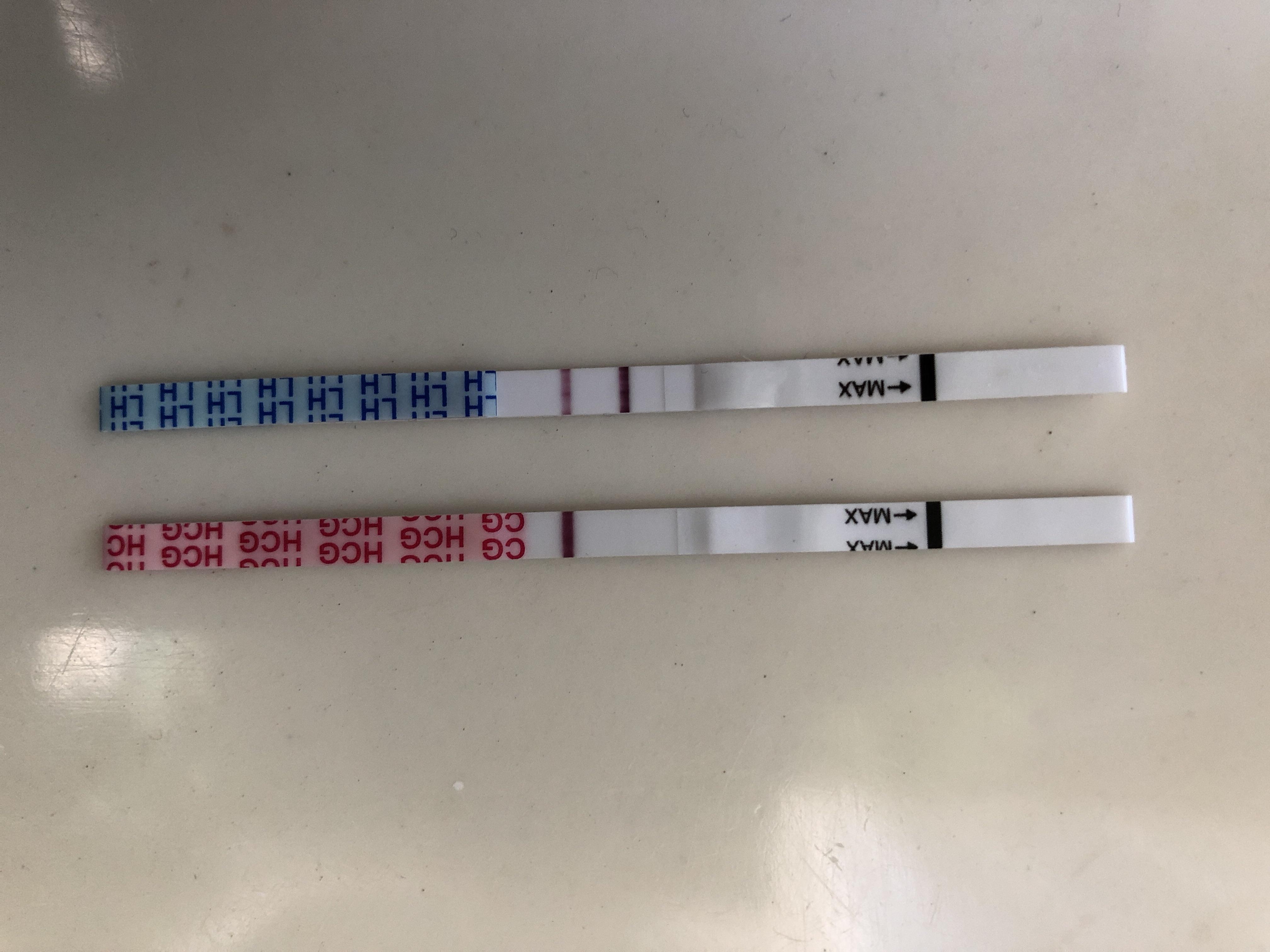 Wondfo Ovulation Test Positive pregnancy test